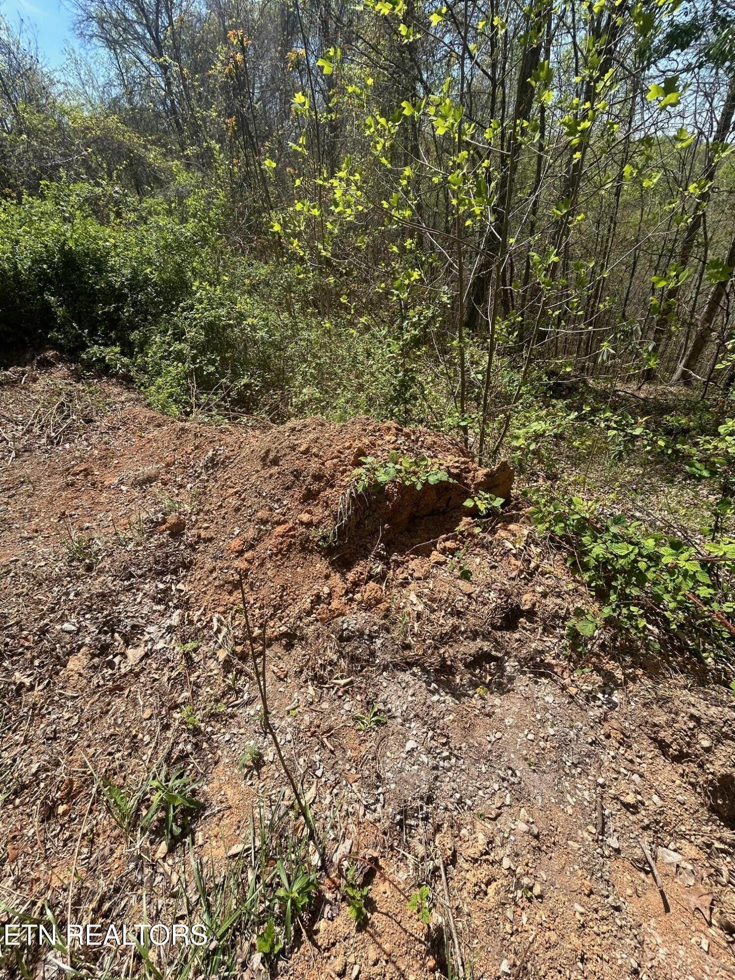 Norris Lake Real Estate - Image# 6