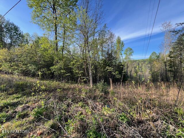 Norris Lake Real Estate - Image# 6