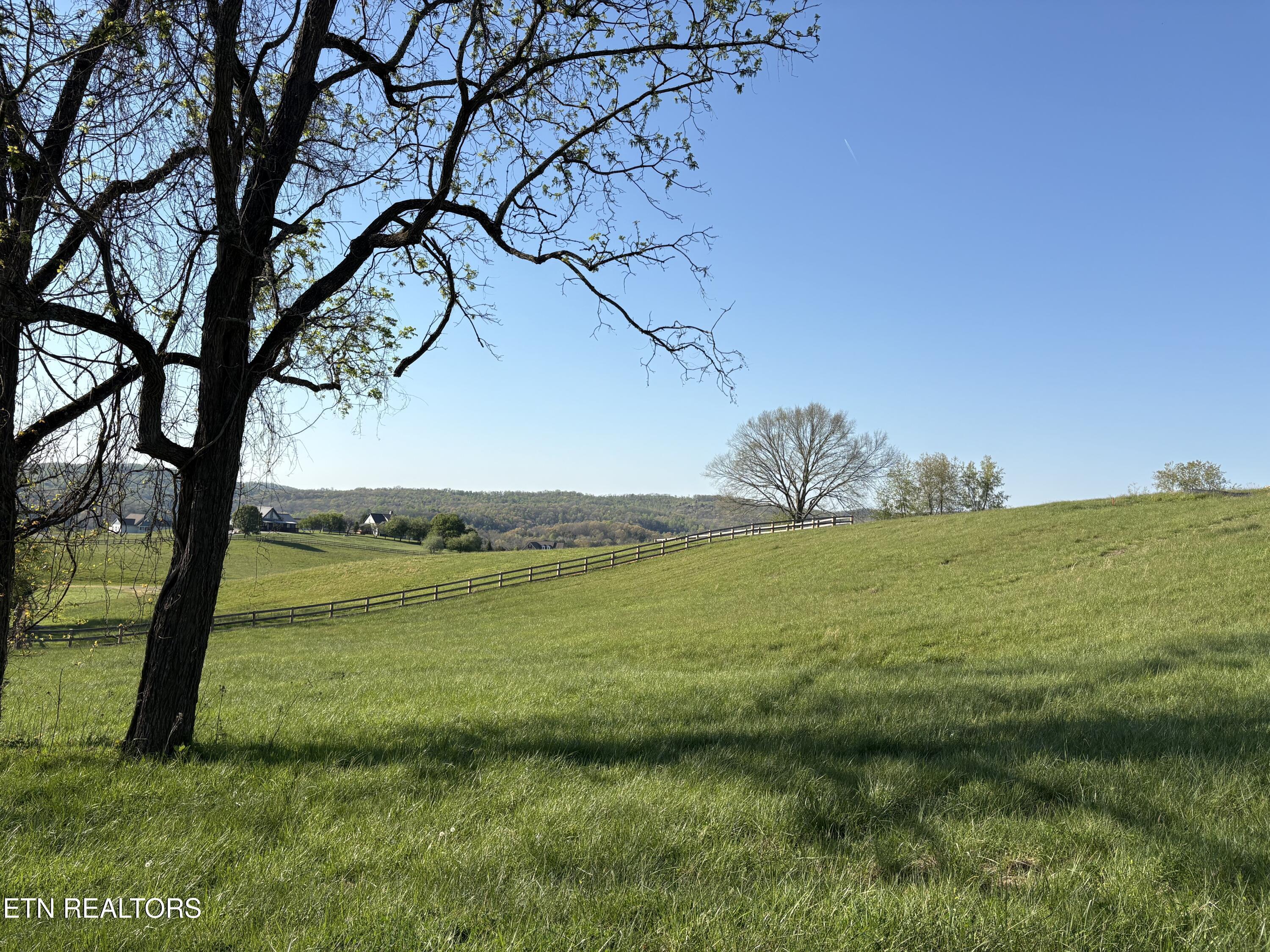 Norris Lake Real Estate - Image# 9
