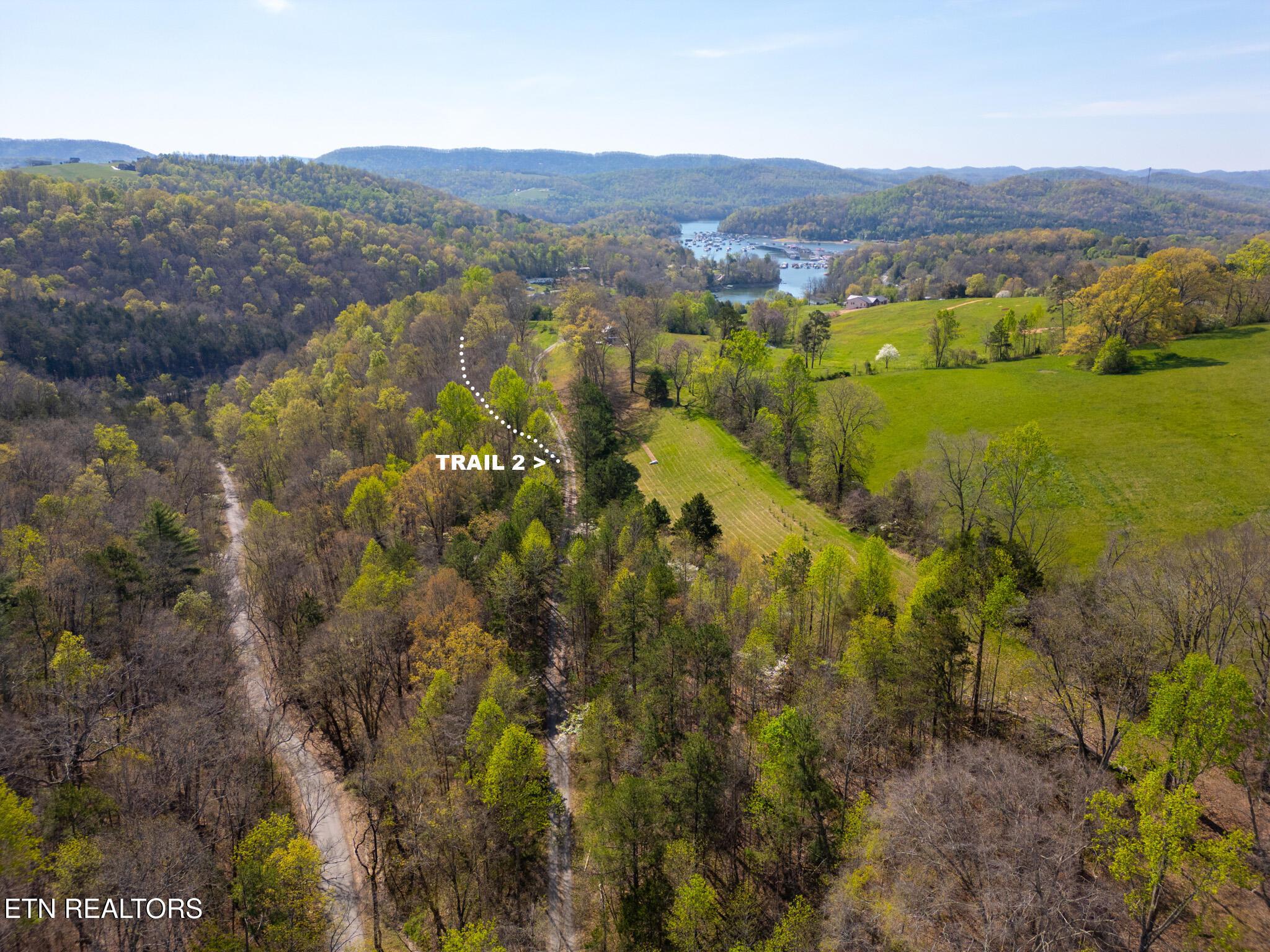 Norris Lake Real Estate - Image# 41