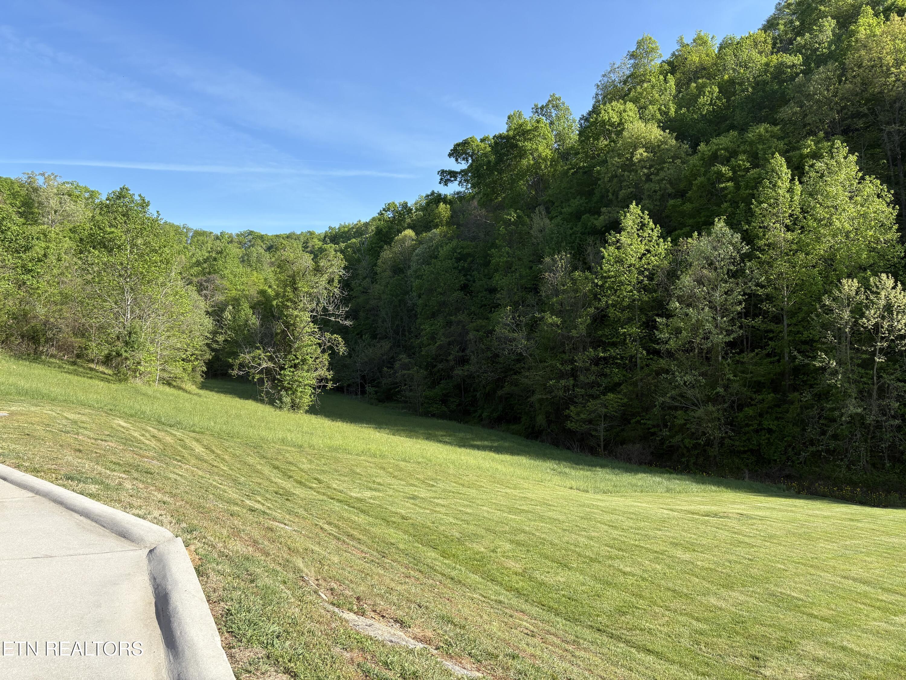 Norris Lake Real Estate - Image# 9