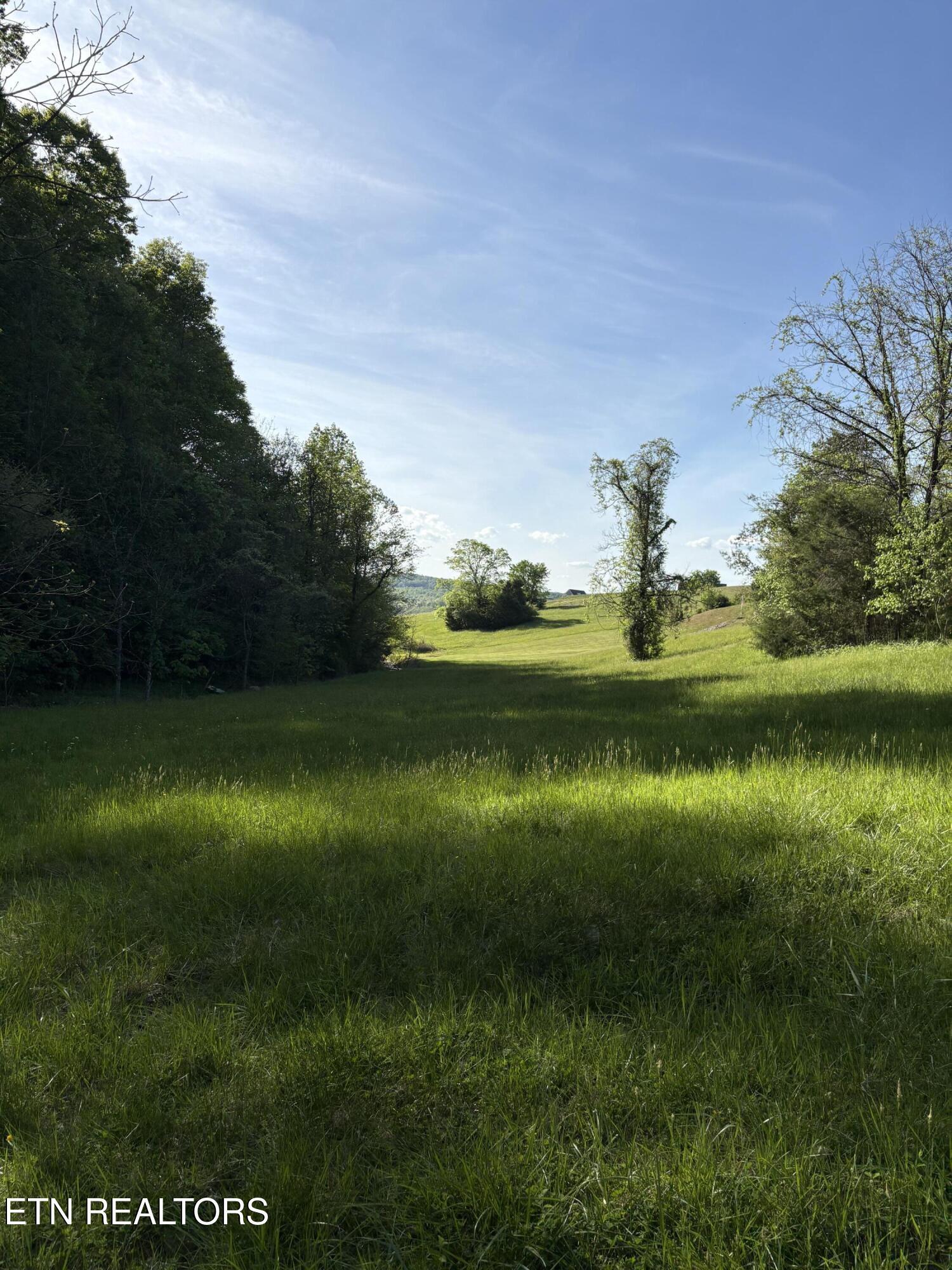 Norris Lake Real Estate - Image# 8