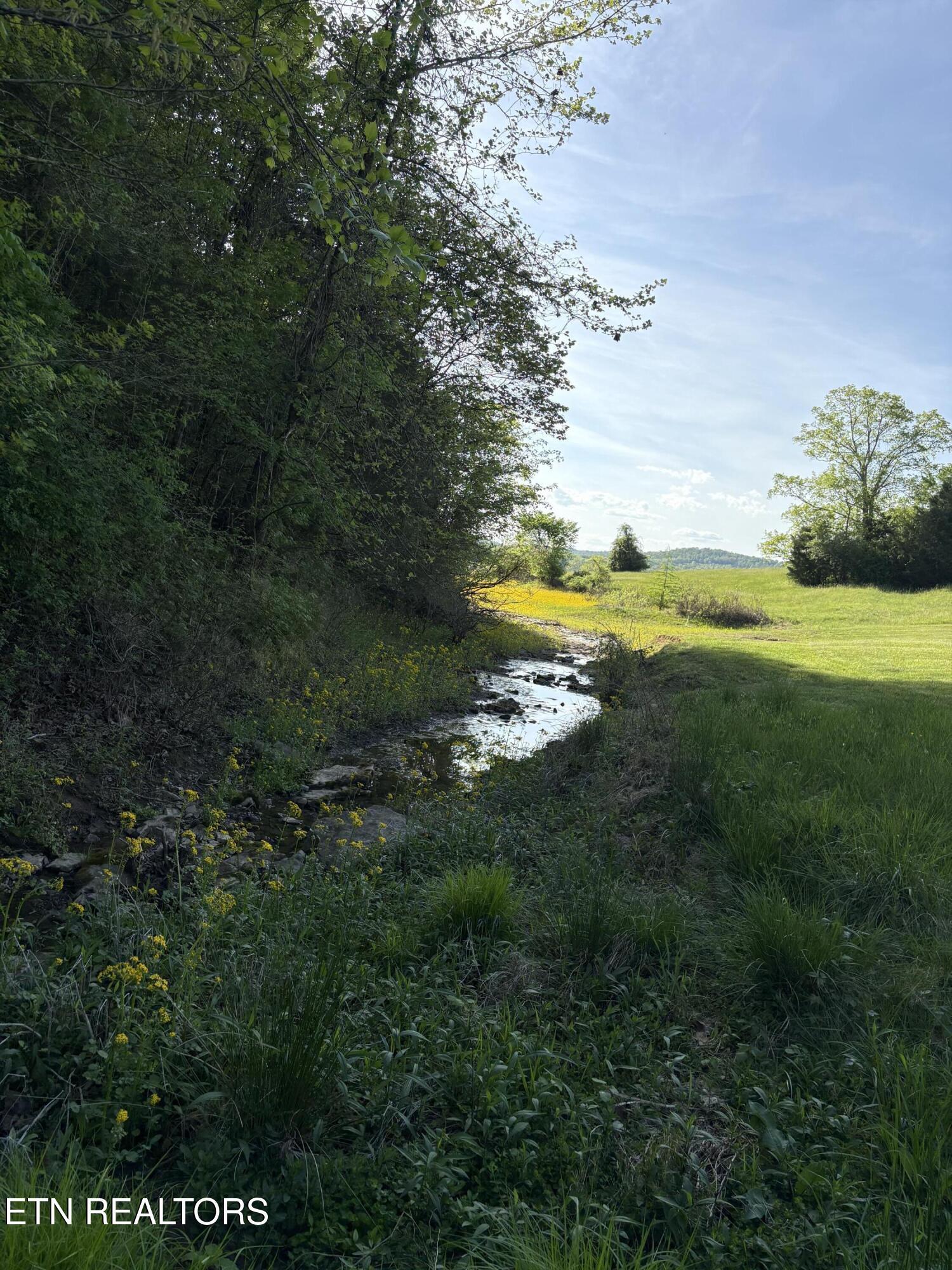 Norris Lake Real Estate - Image# 4