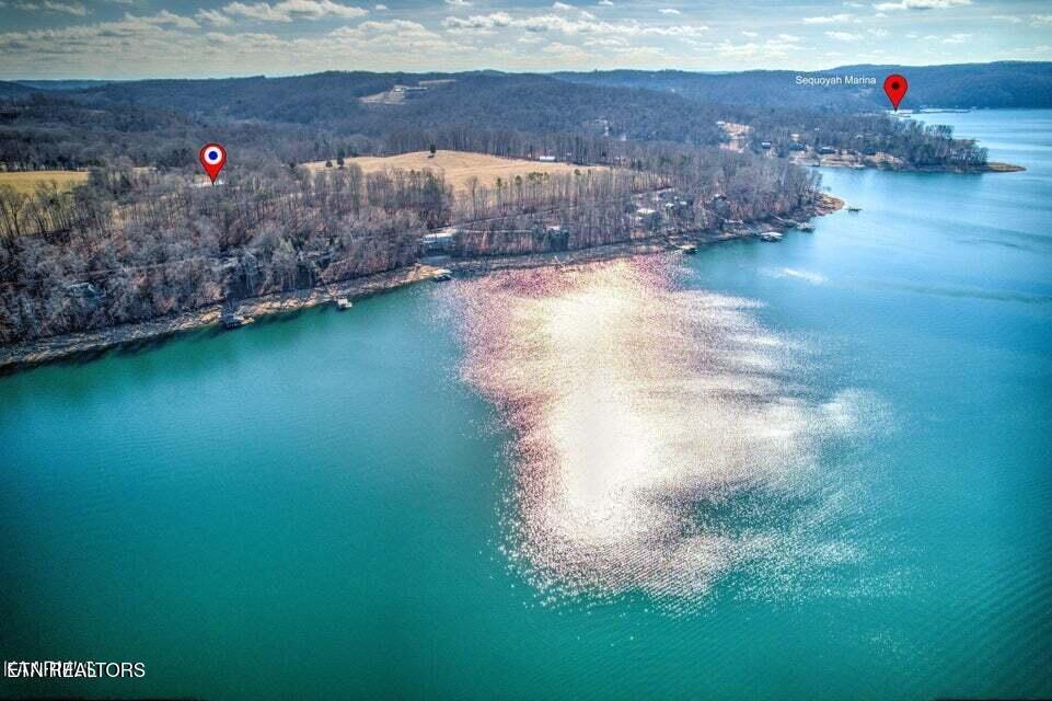 Norris Lake Real Estate - Image# 5