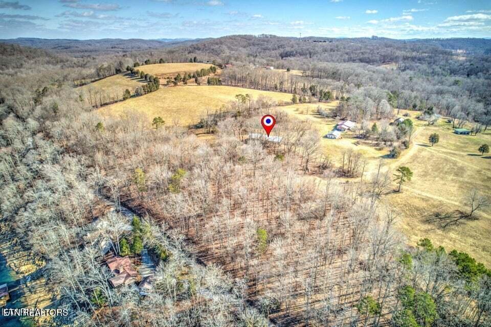 Norris Lake Real Estate - Image# 8