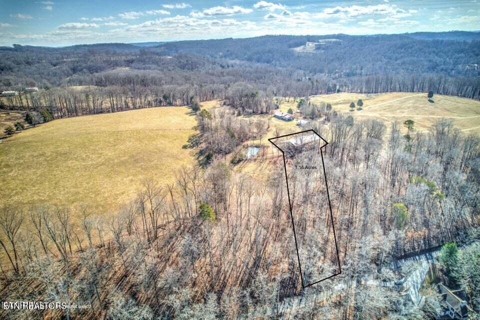 Norris Lake Real Estate - Image# 14