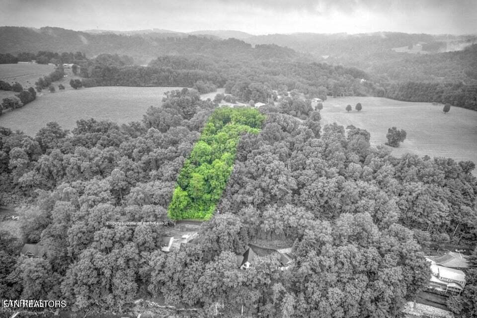 Norris Lake Real Estate - Image# 19