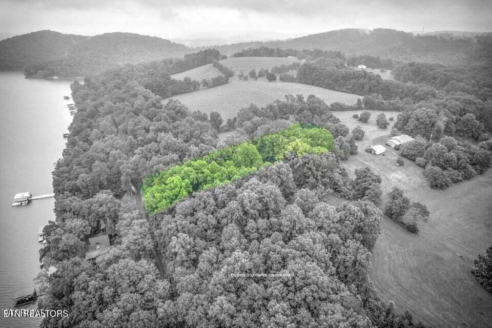 Norris Lake Real Estate - Image# 20