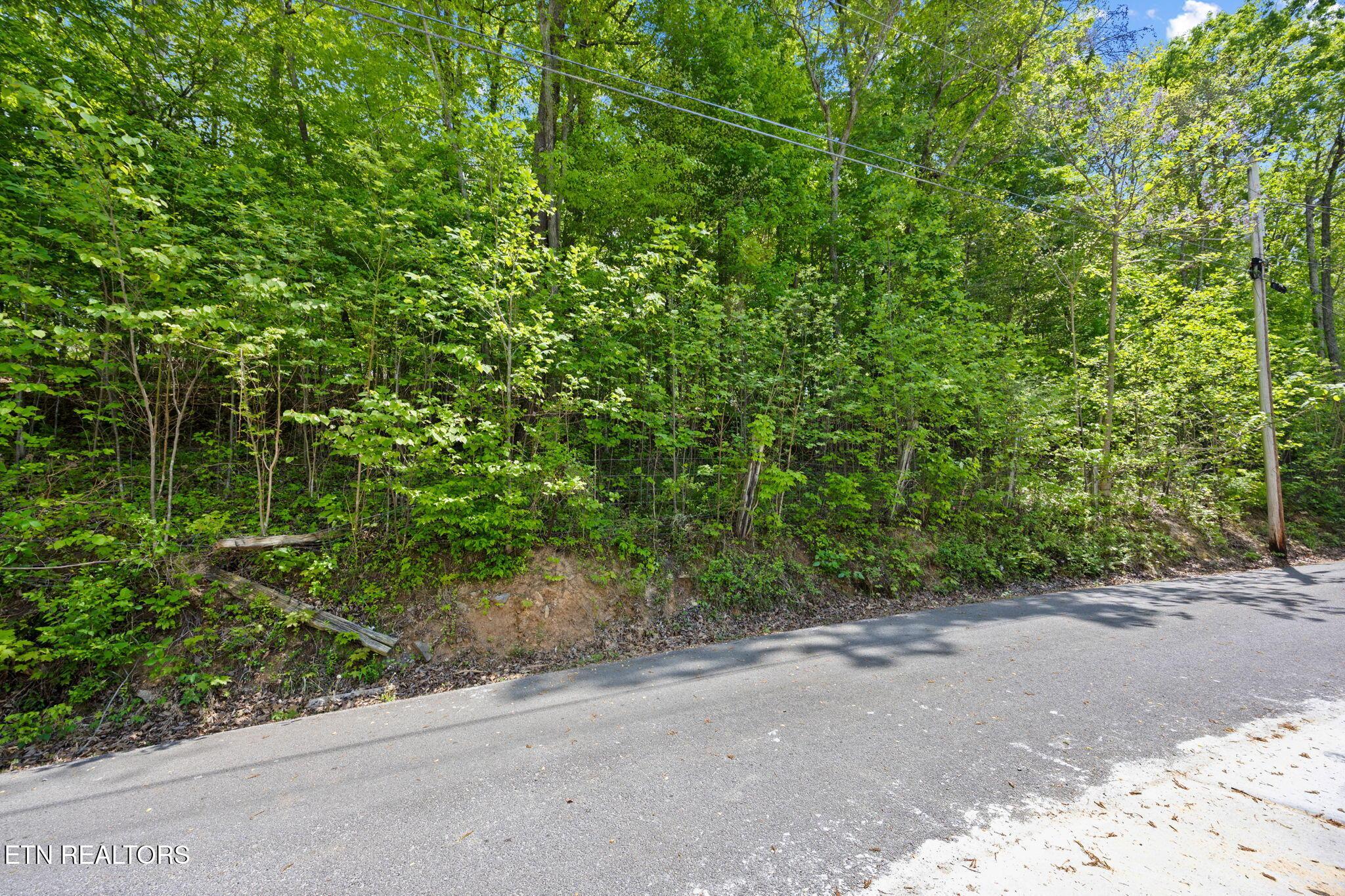 Norris Lake Real Estate - Image# 20