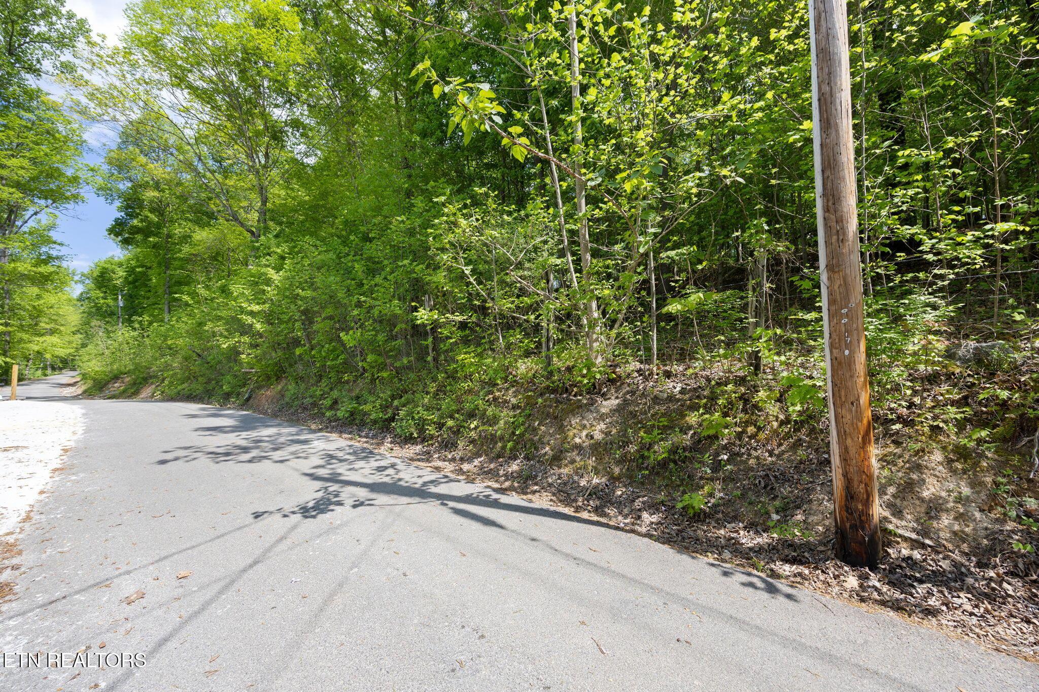 Norris Lake Real Estate - Image# 22