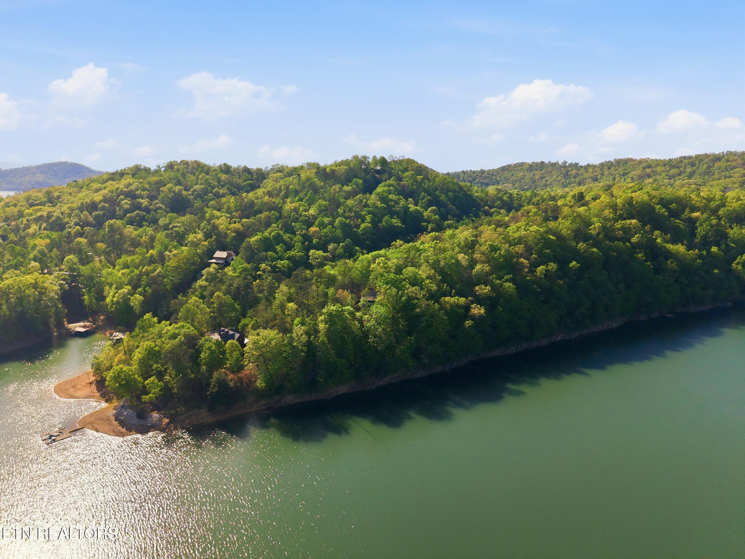 183 Ridgeview Circle, Sharps Chapel, TN - Norris Lake Real Estate - Image# 10