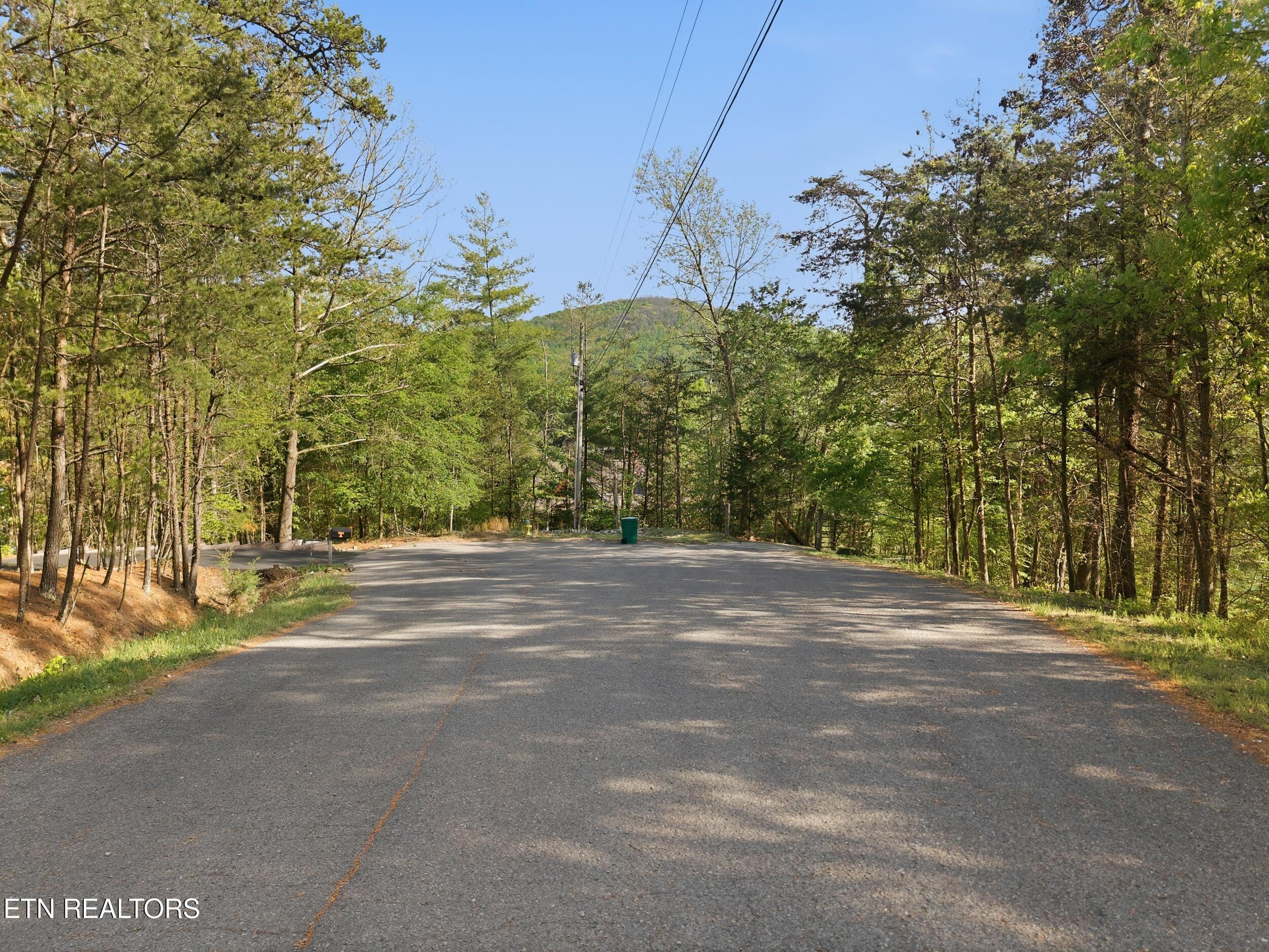 183 Ridgeview Circle, Sharps Chapel, TN - Norris Lake Real Estate - Image# 42