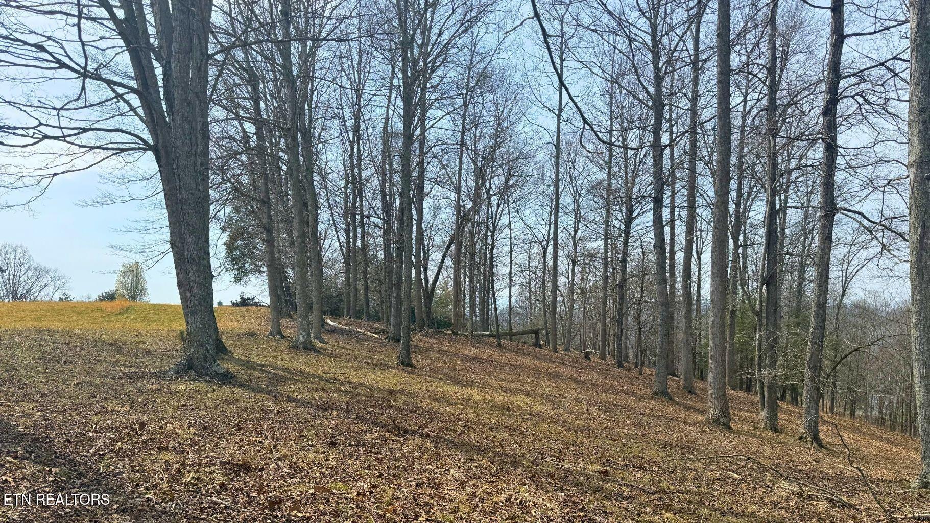 Norris Lake Real Estate - Image# 19