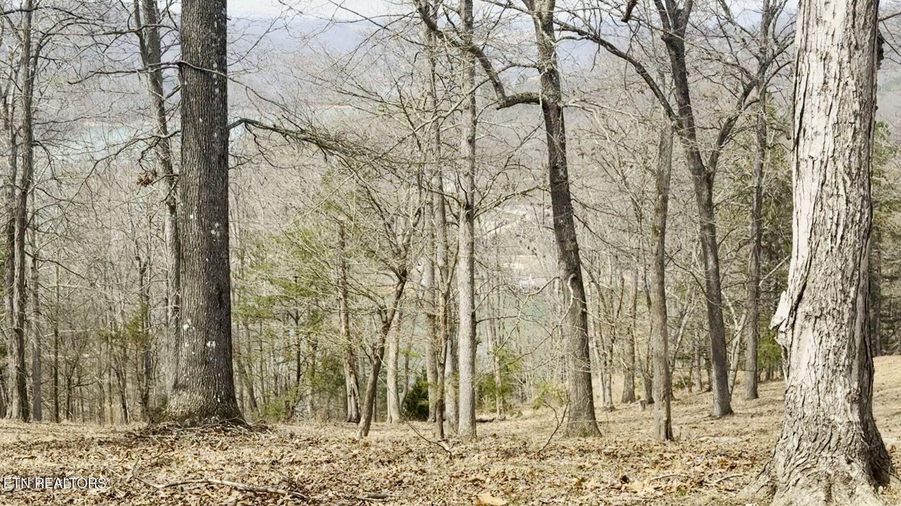 Norris Lake Real Estate - Image# 20