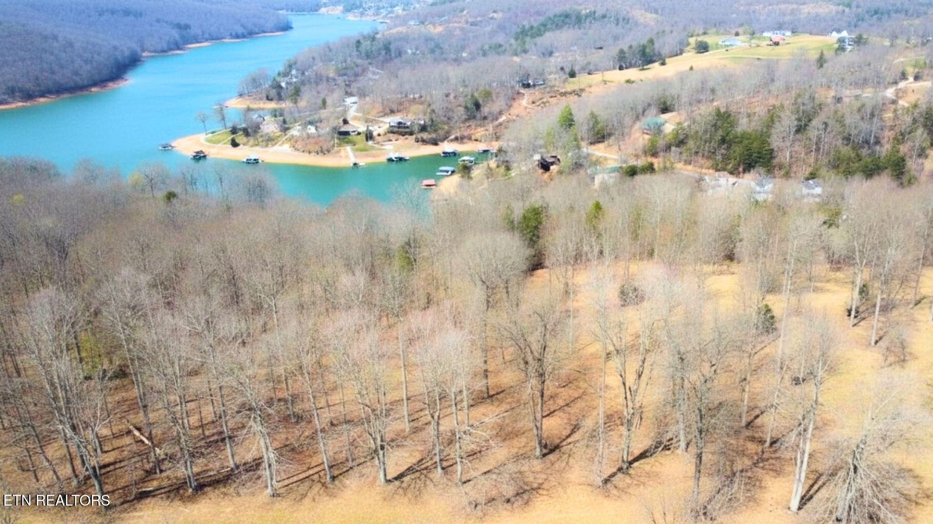 Norris Lake Real Estate - Image# 13