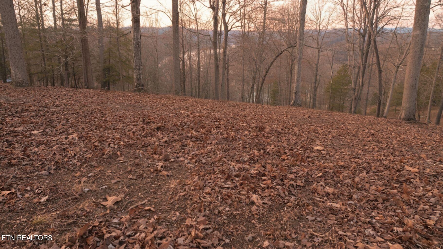 Norris Lake Real Estate - Image# 30