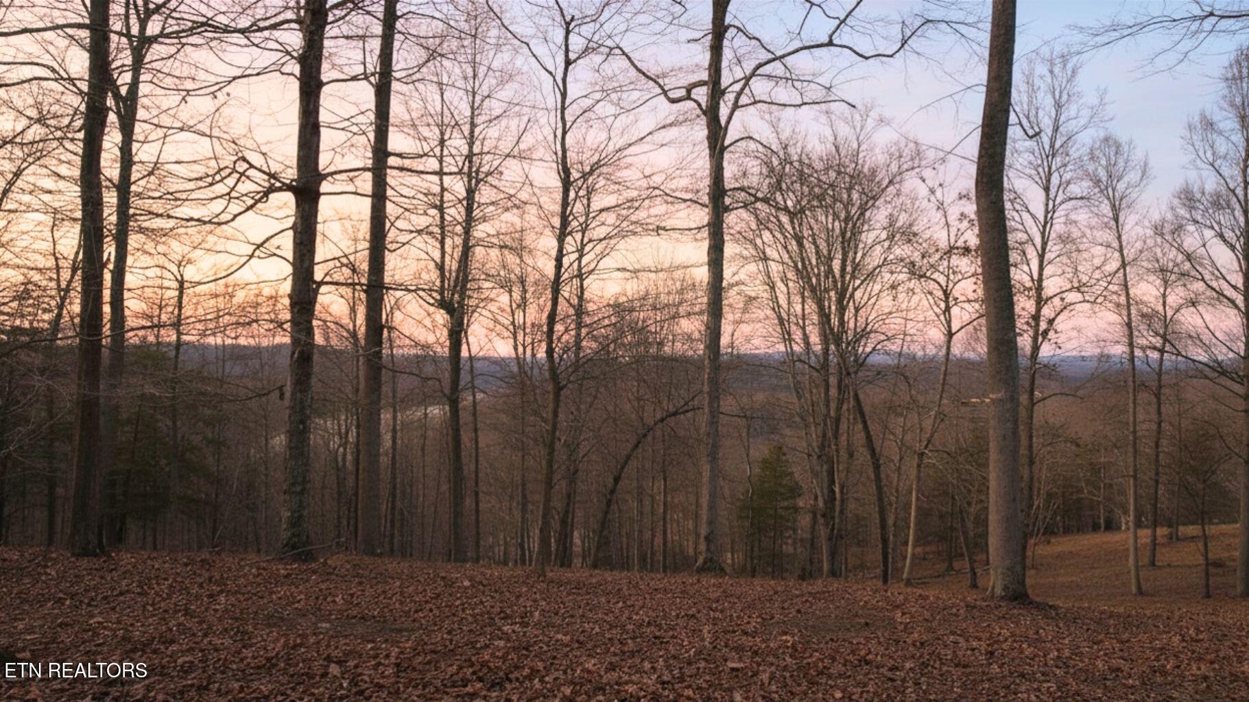 Norris Lake Real Estate - Image# 31