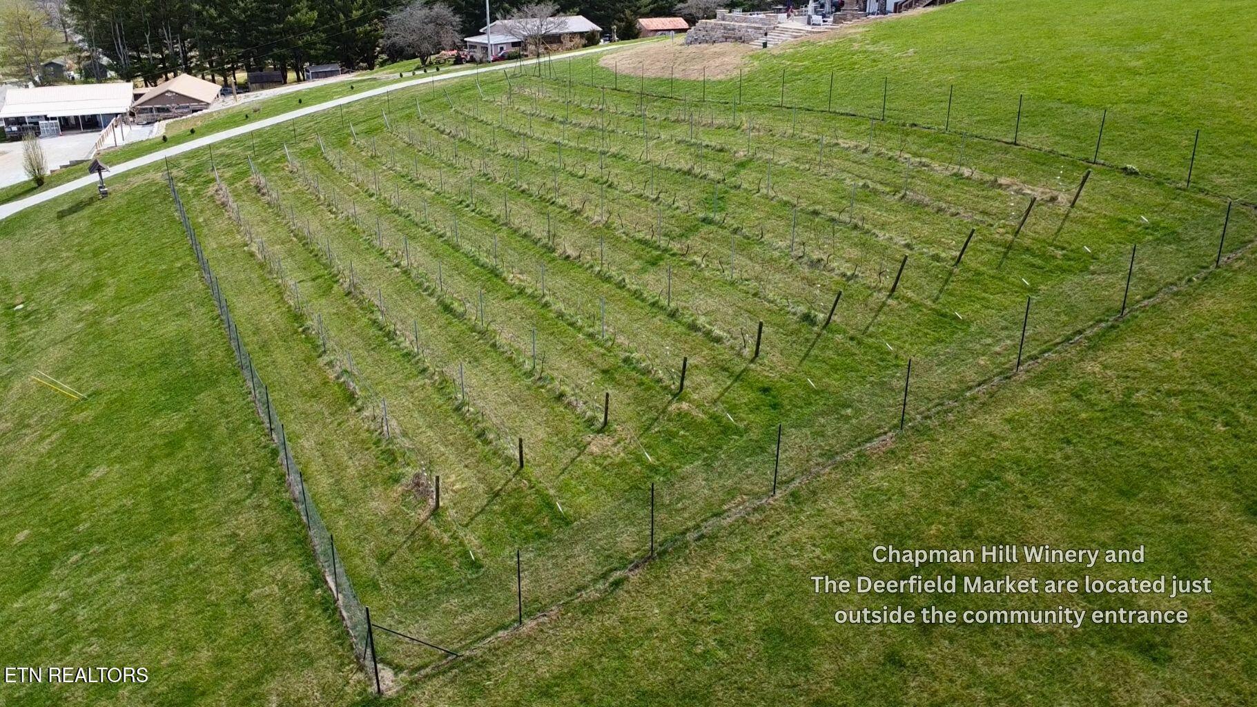 Norris Lake Real Estate - Image# 49