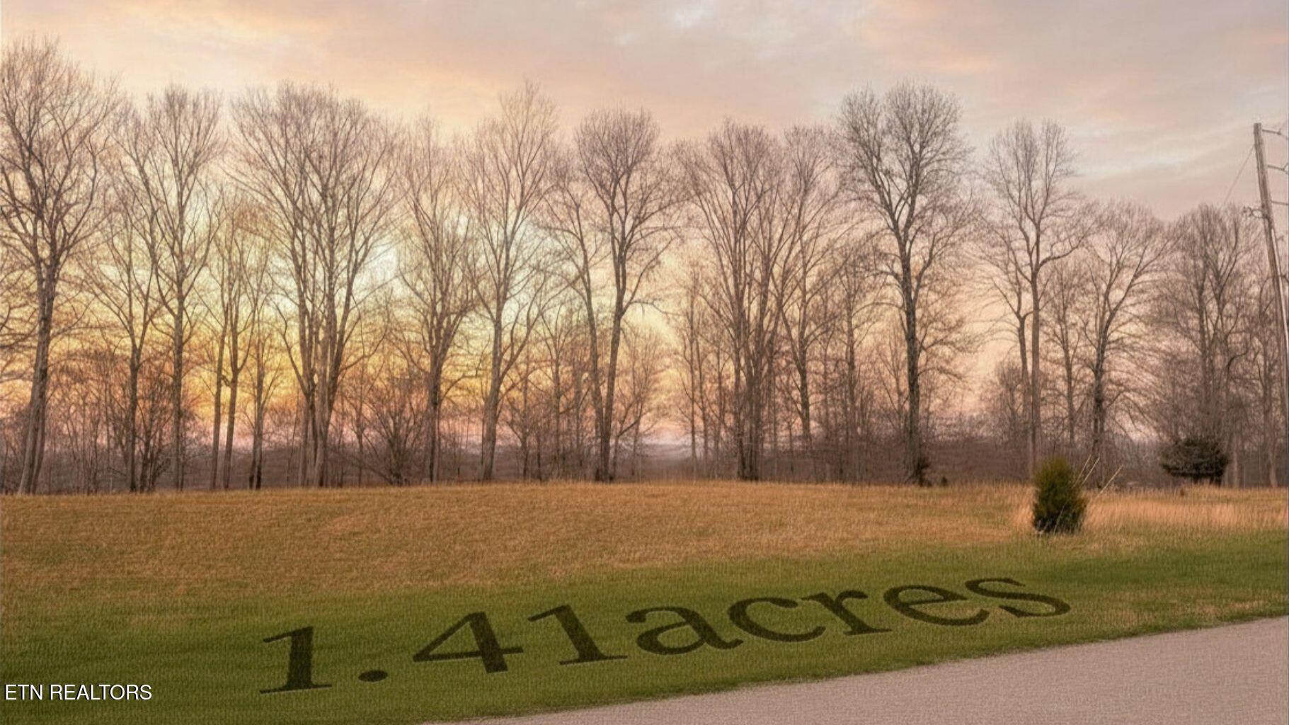 Norris Lake Real Estate - Image# 2