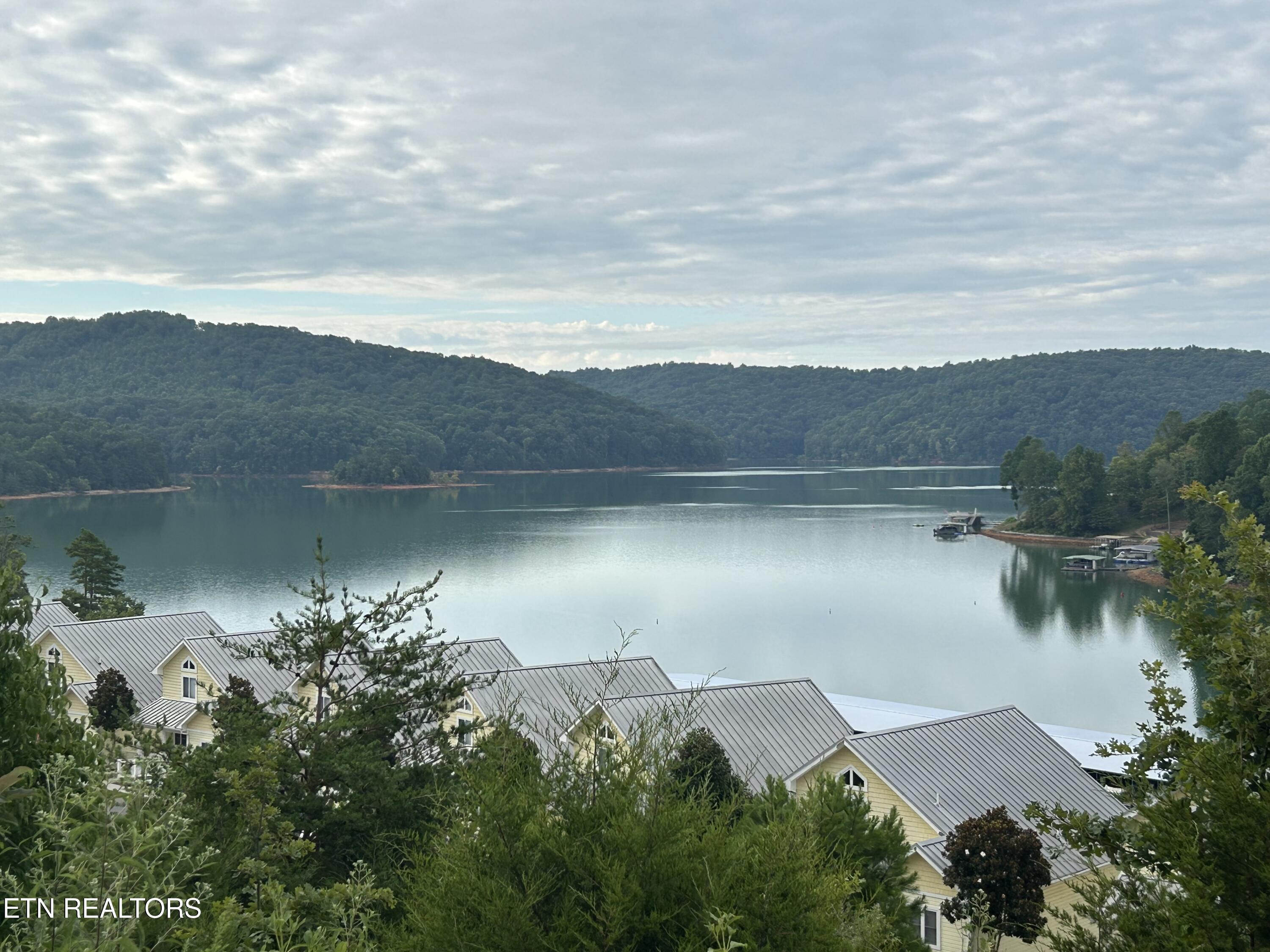 131 N Deer Village Lane, Lafollette, TN - Norris Lake Real Estate - Image# 35