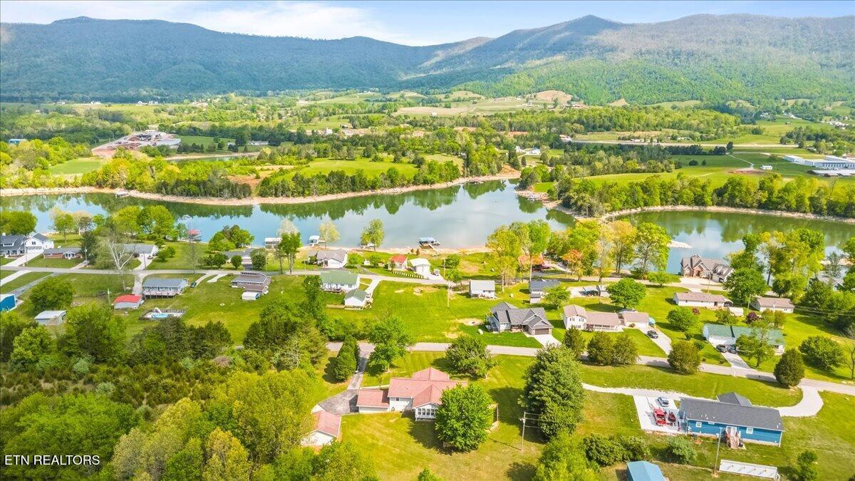 1178 Powell Valley Shores Circle, Speedwell, TN - Norris Lake Real Estate - Image# 6