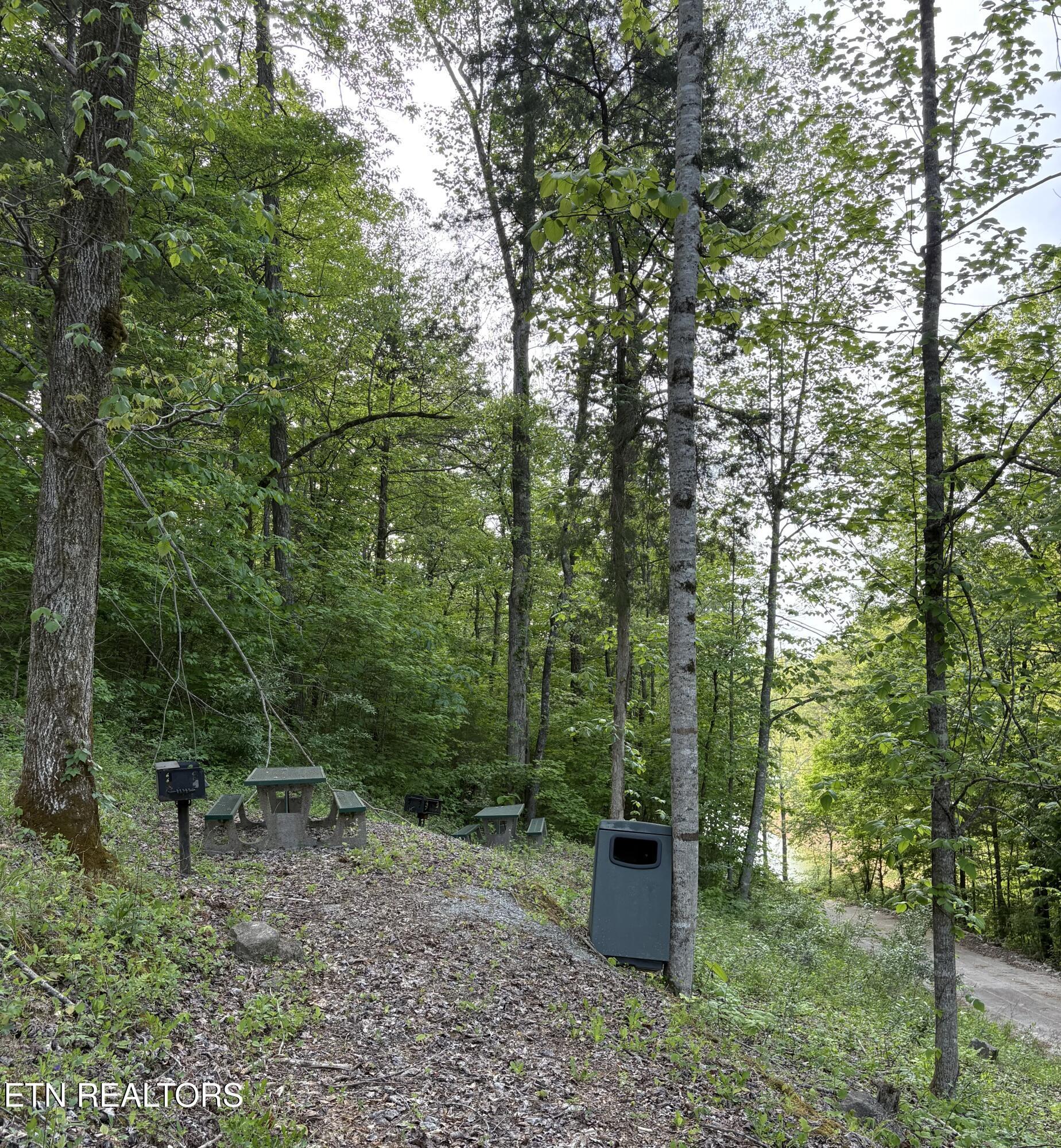lot 168 Saddleridge Drive, Speedwell, TN - Norris Lake Real Estate - Image# 15