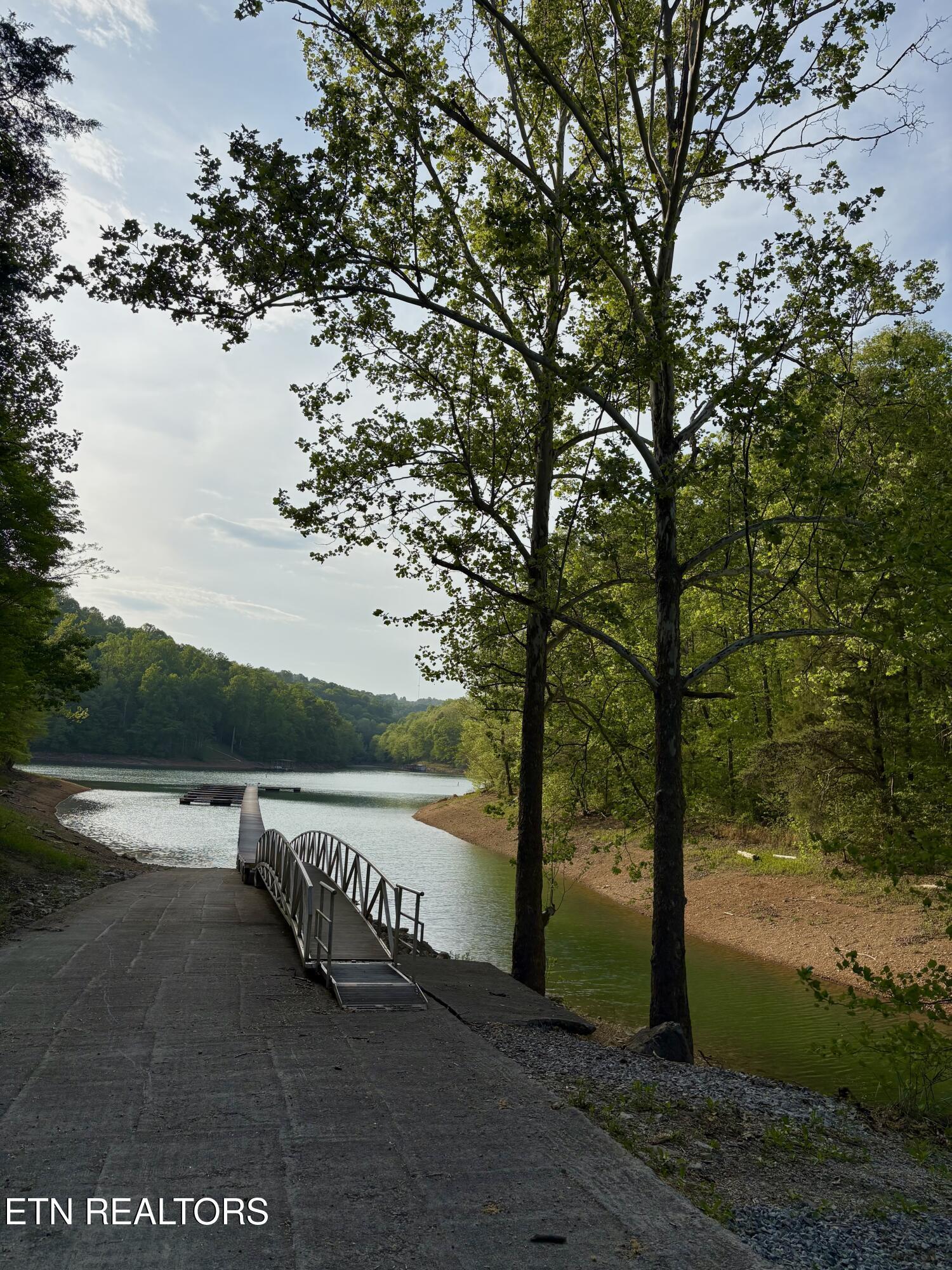 lot 168 Saddleridge Drive, Speedwell, TN - Norris Lake Real Estate - Image# 6