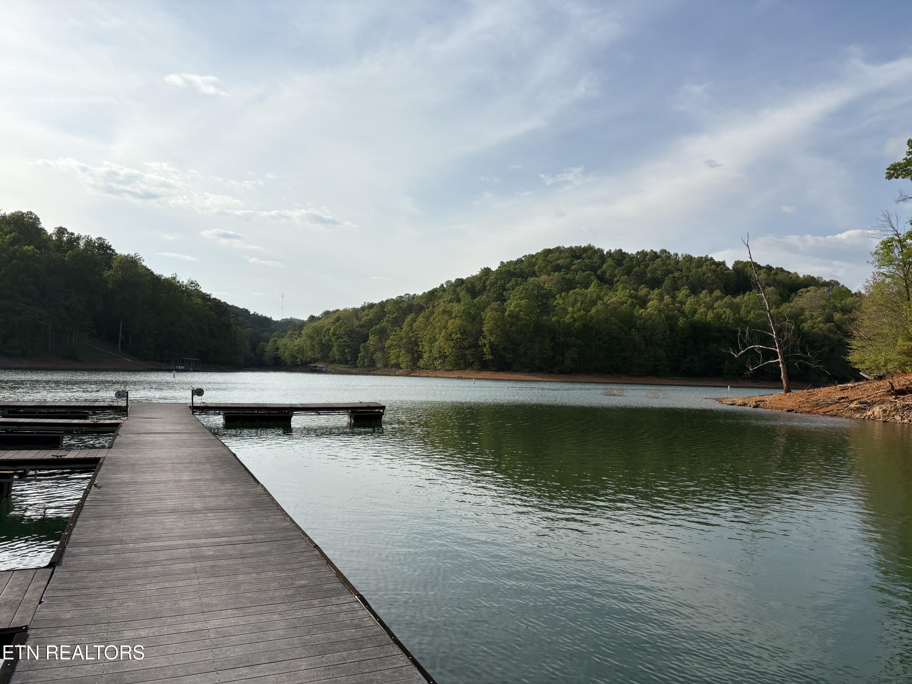 lot 168 Saddleridge Drive, Speedwell, TN - Norris Lake Real Estate - Image# 10