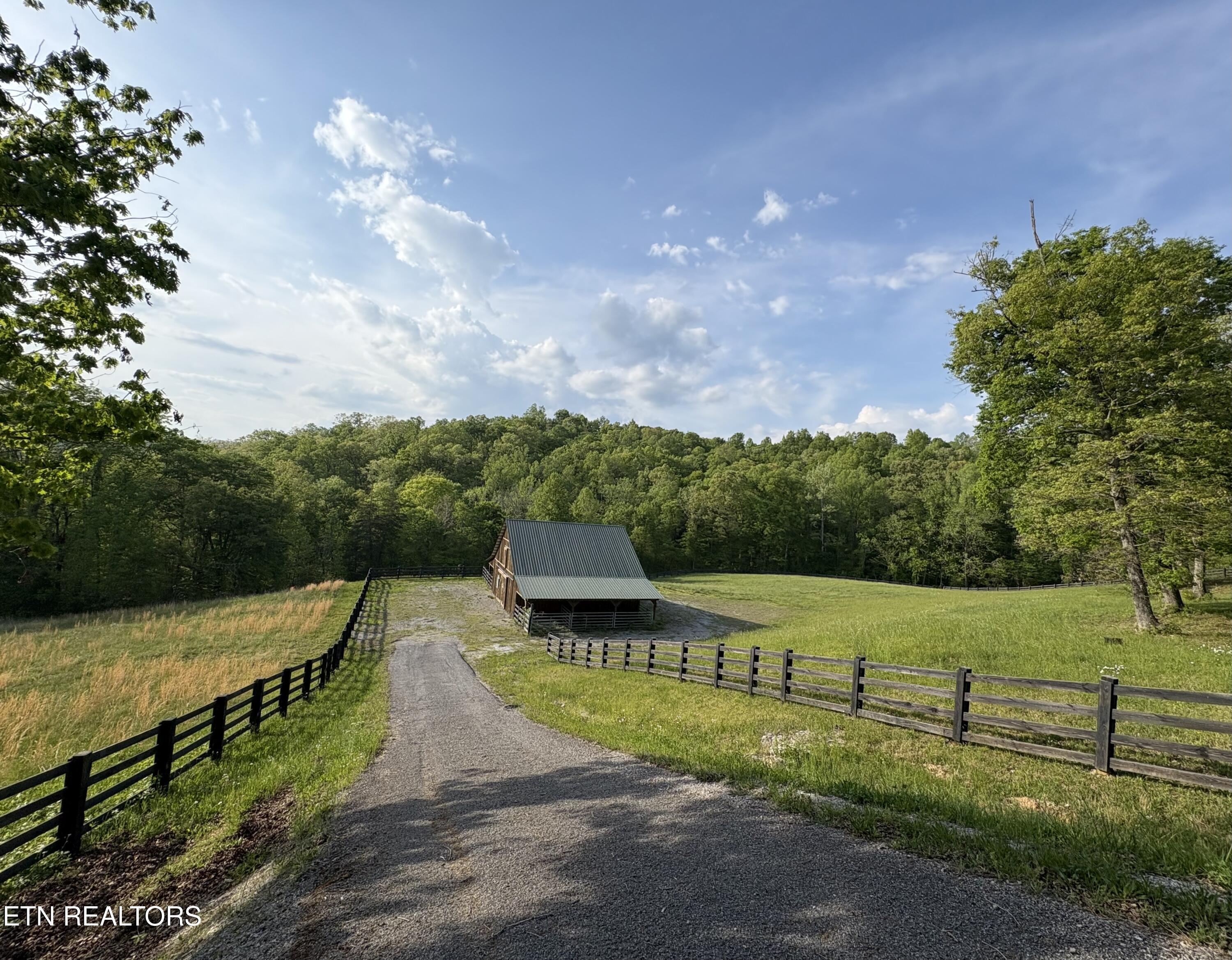 lot 168 Saddleridge Drive, Speedwell, TN - Norris Lake Real Estate - Image# 11