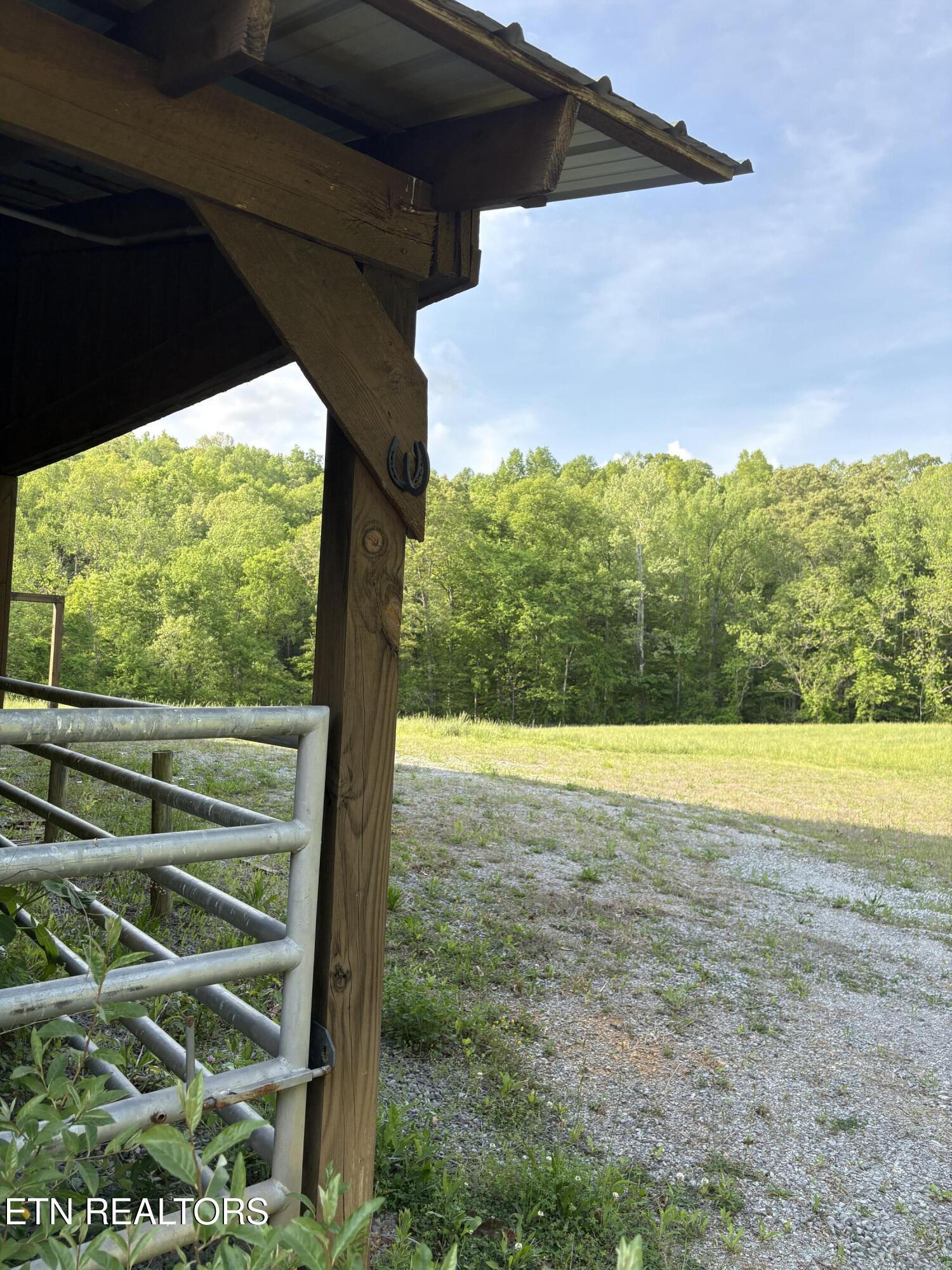 lot 168 Saddleridge Drive, Speedwell, TN - Norris Lake Real Estate - Image# 14