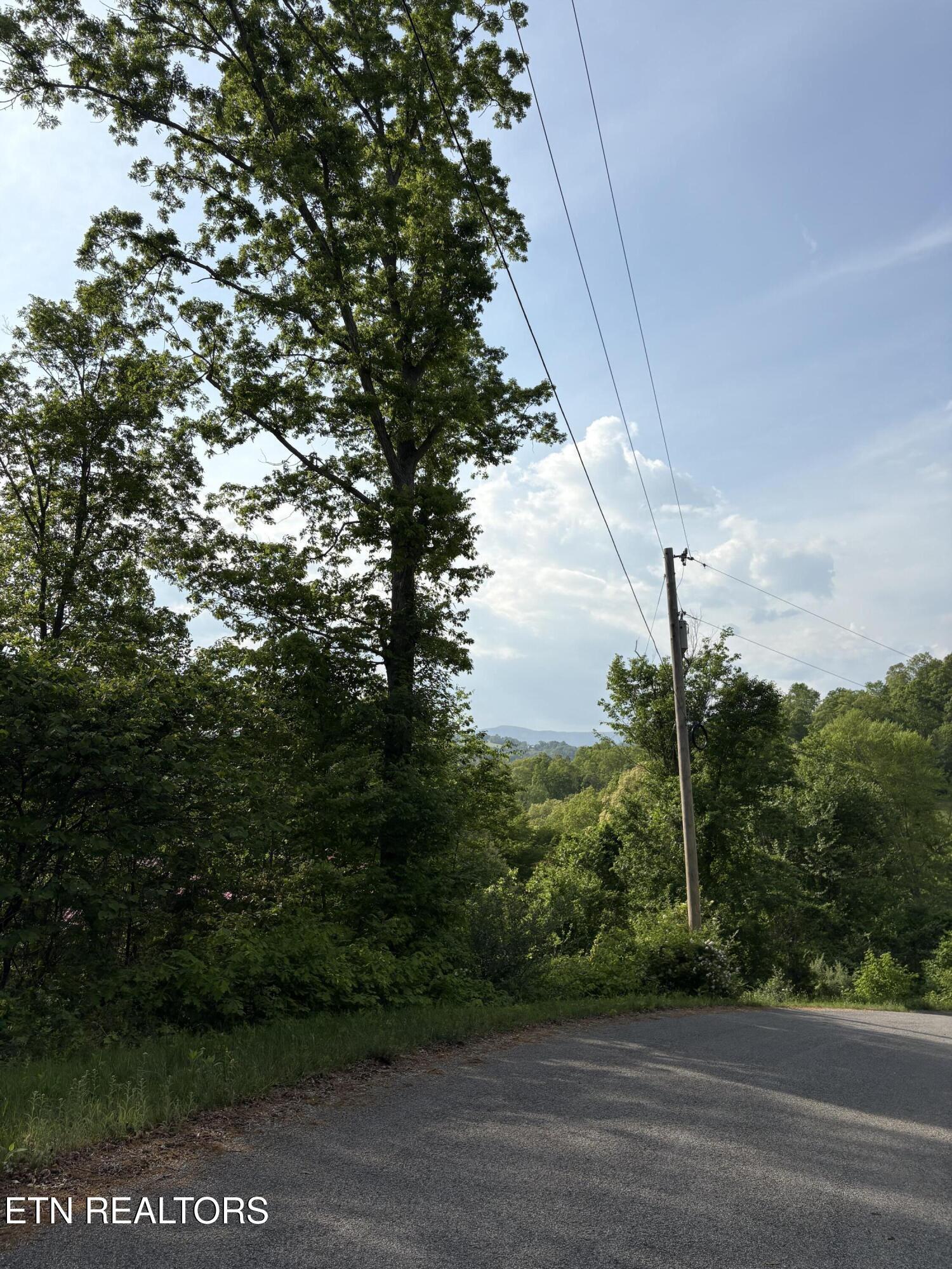 lot 168 Saddleridge Drive, Speedwell, TN - Norris Lake Real Estate - Image# 4