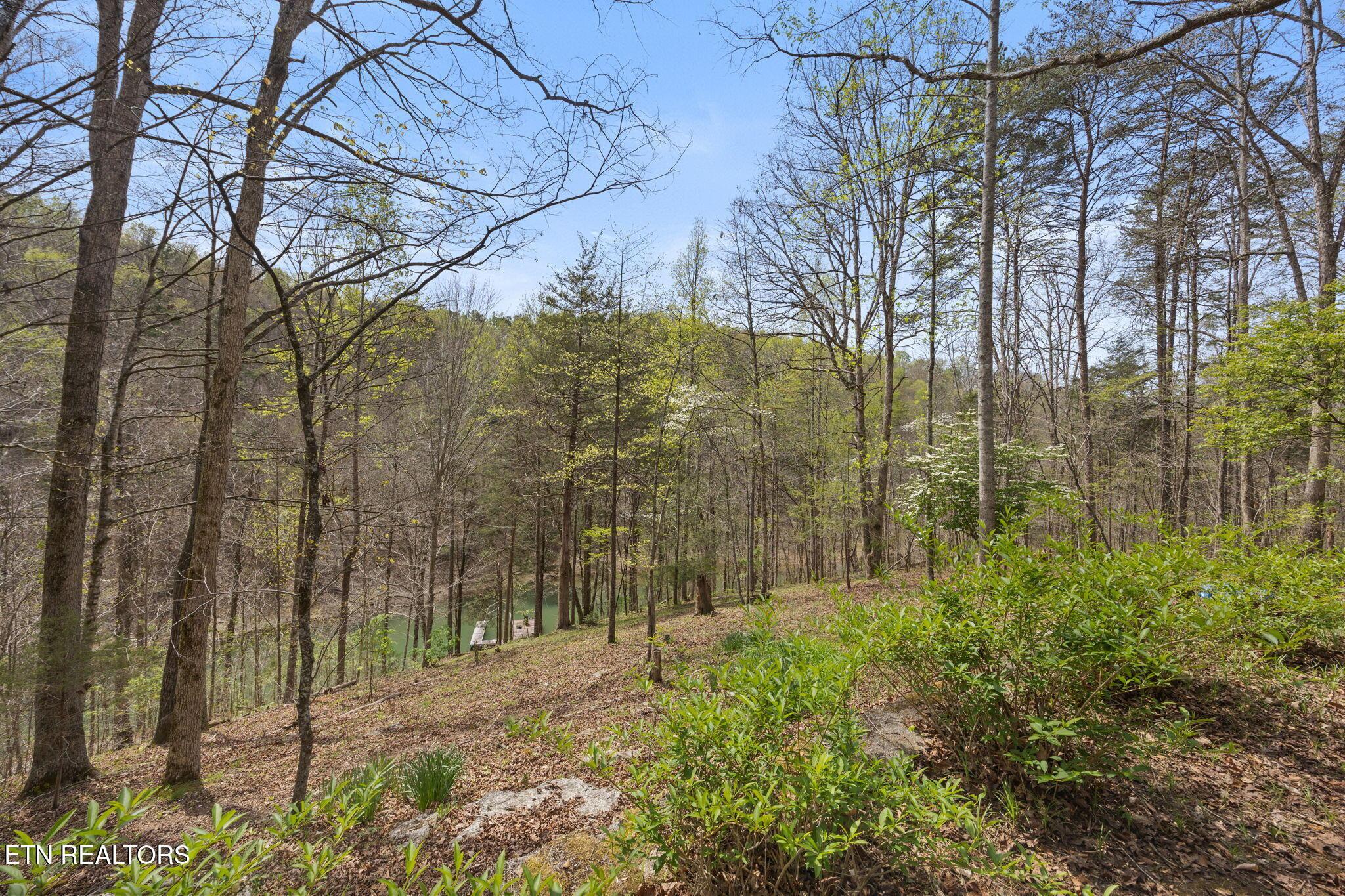 258 Marina Lane, Lafollette, TN - Norris Lake Real Estate - Image# 35