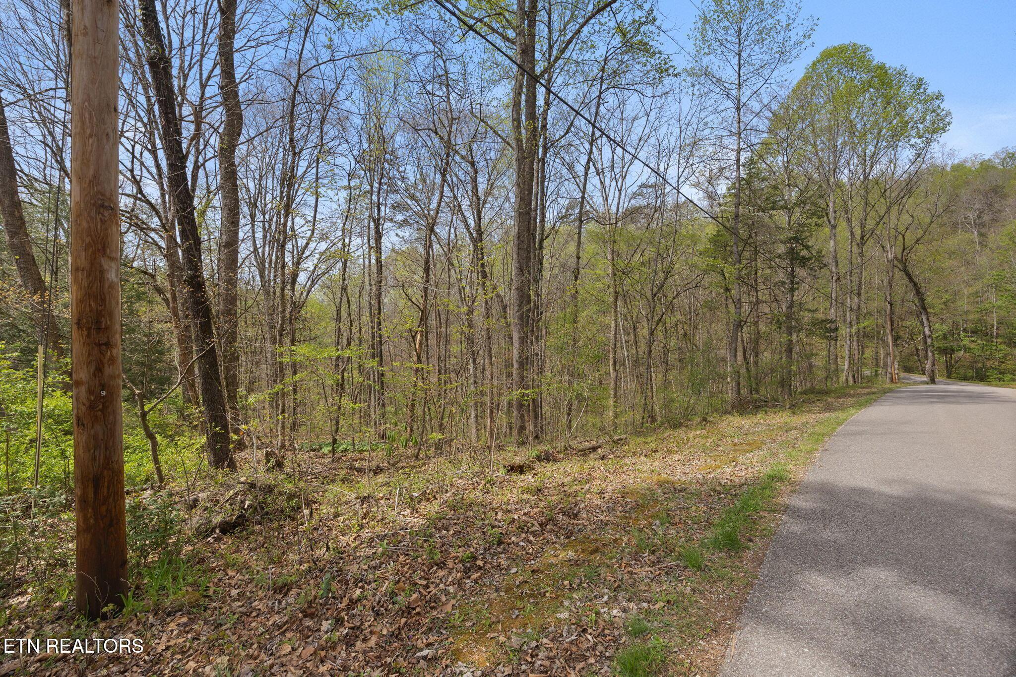 258 Marina Lane, Lafollette, TN - Norris Lake Real Estate - Image# 38