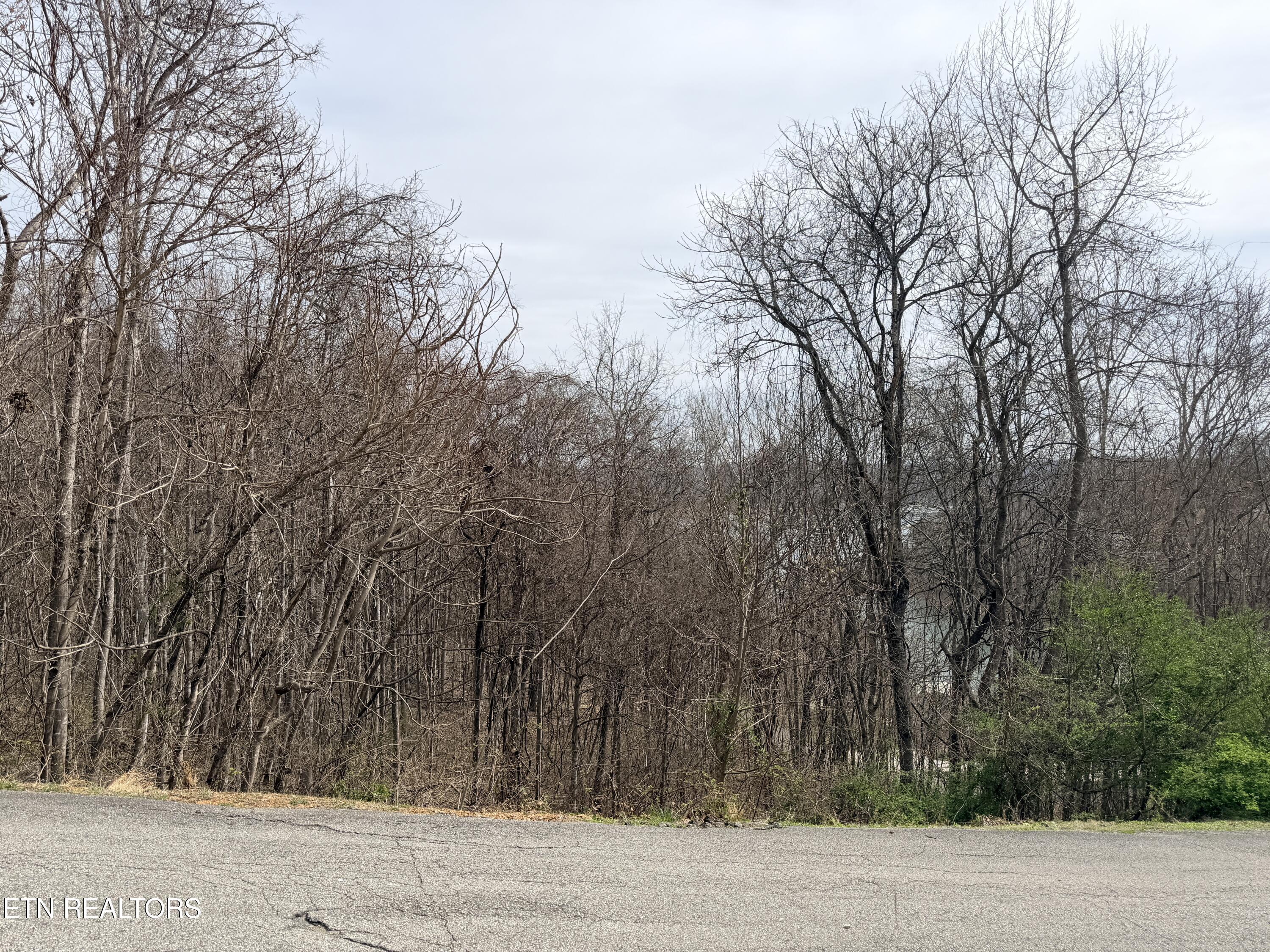 Shanghai Lake Lane, Lafollette, TN - Norris Lake Real Estate - Image# 7
