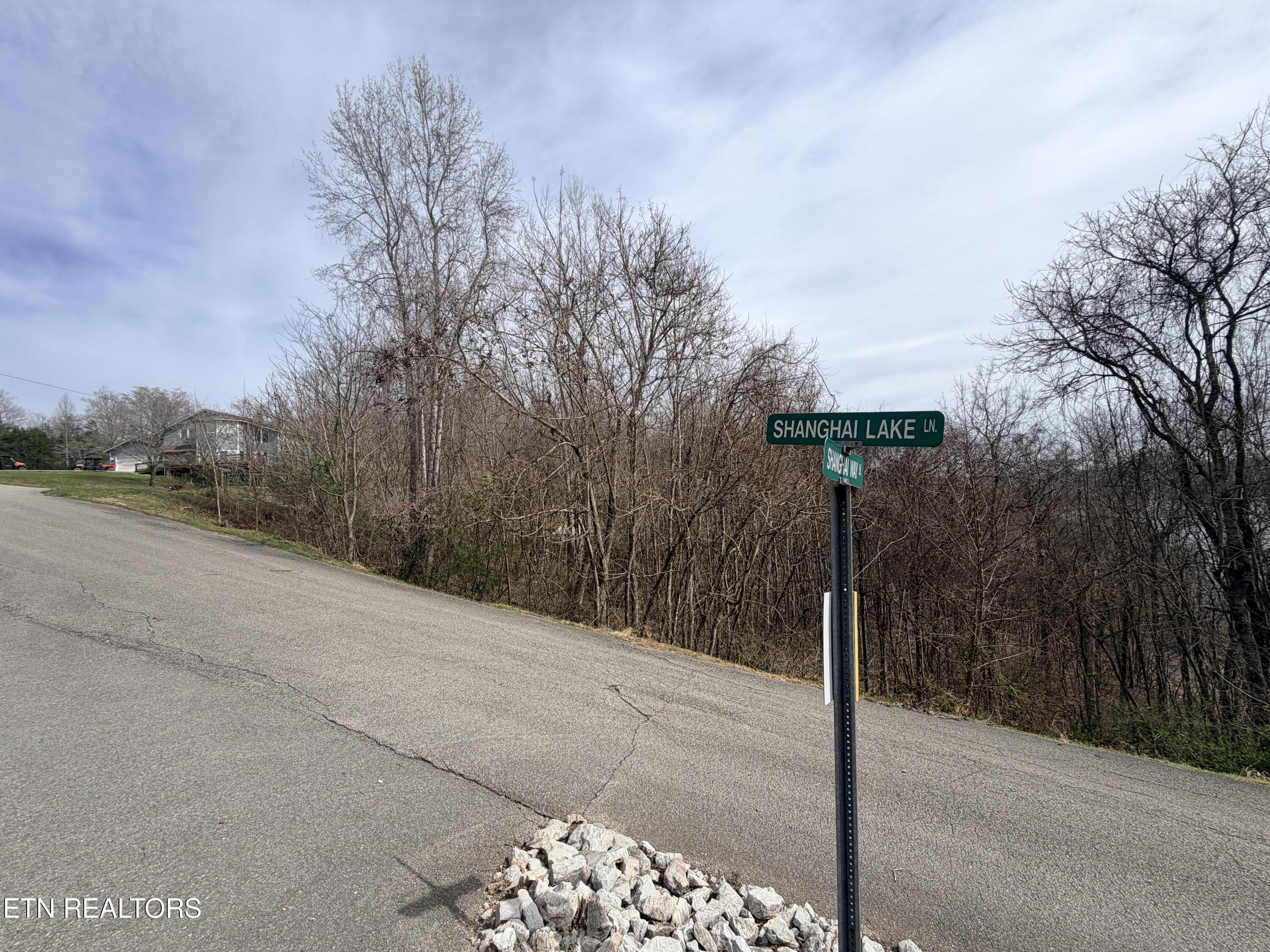 Shanghai Lake Lane, Lafollette, TN - Norris Lake Real Estate - Image# 9