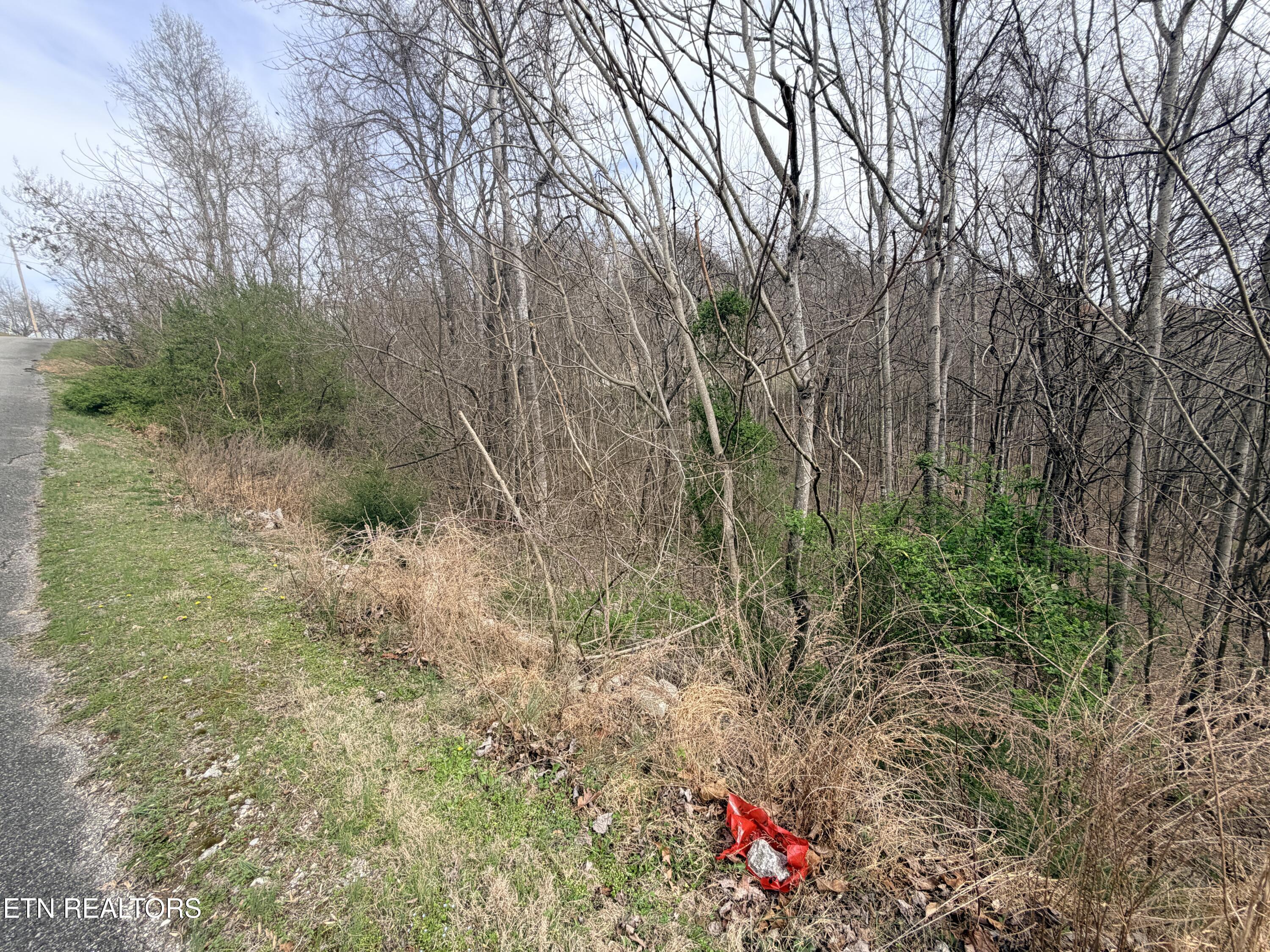 Shanghai Lake Lane, Lafollette, TN - Norris Lake Real Estate - Image# 10