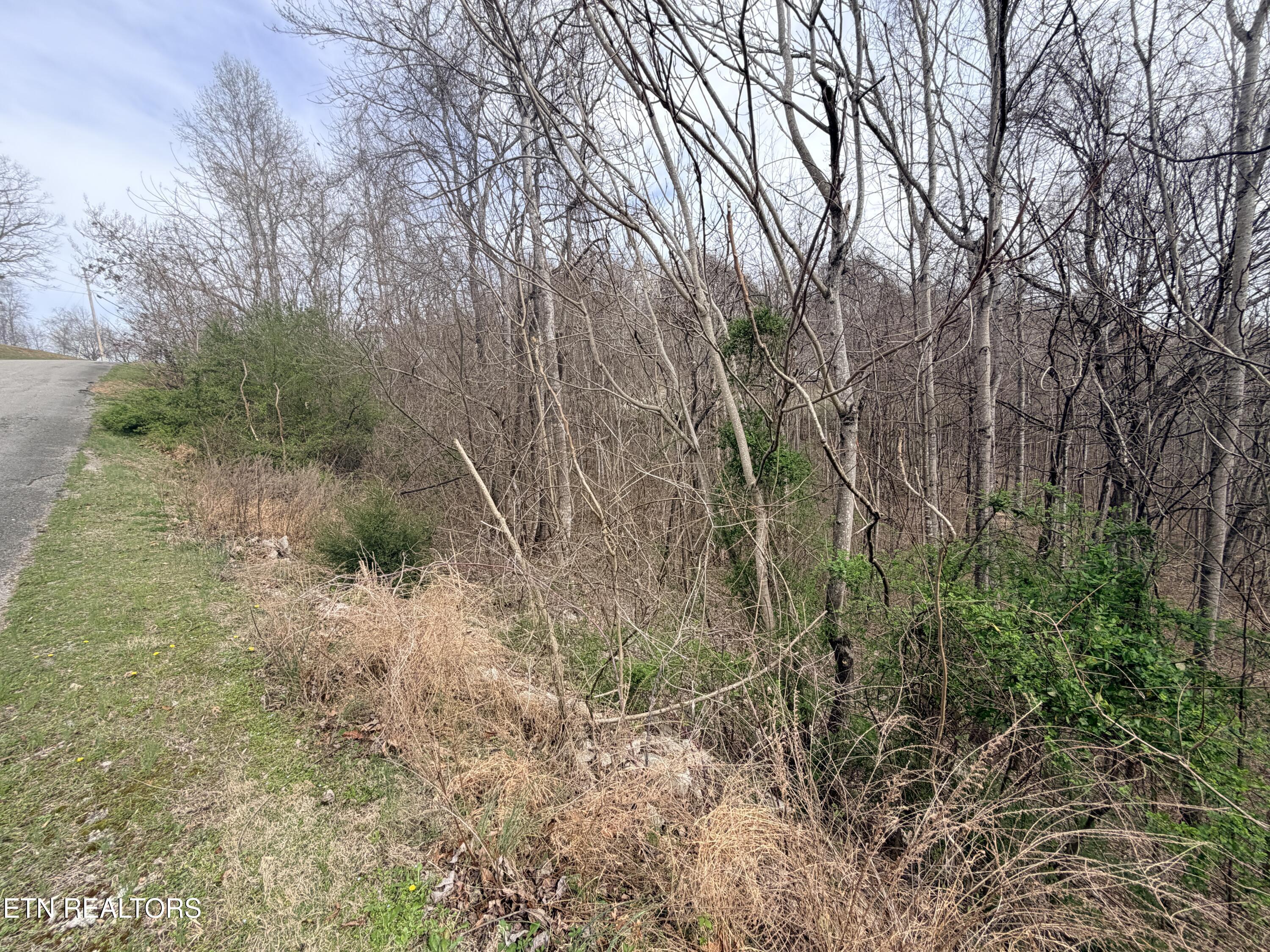 Shanghai Lake Lane, Lafollette, TN - Norris Lake Real Estate - Image# 11