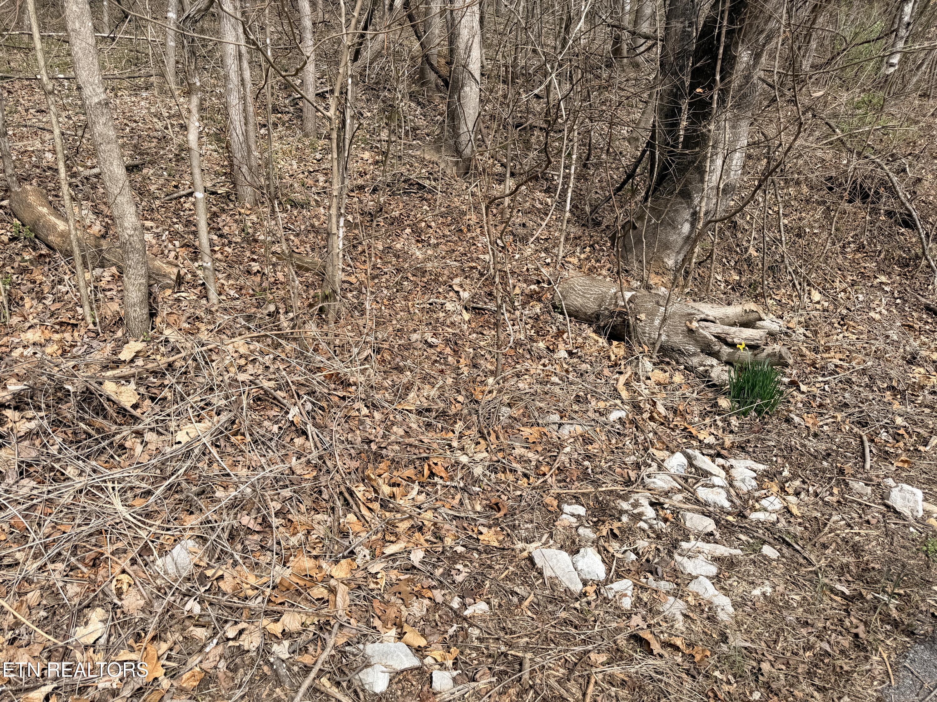 Shanghai Lake Lane, Lafollette, TN - Norris Lake Real Estate - Image# 13