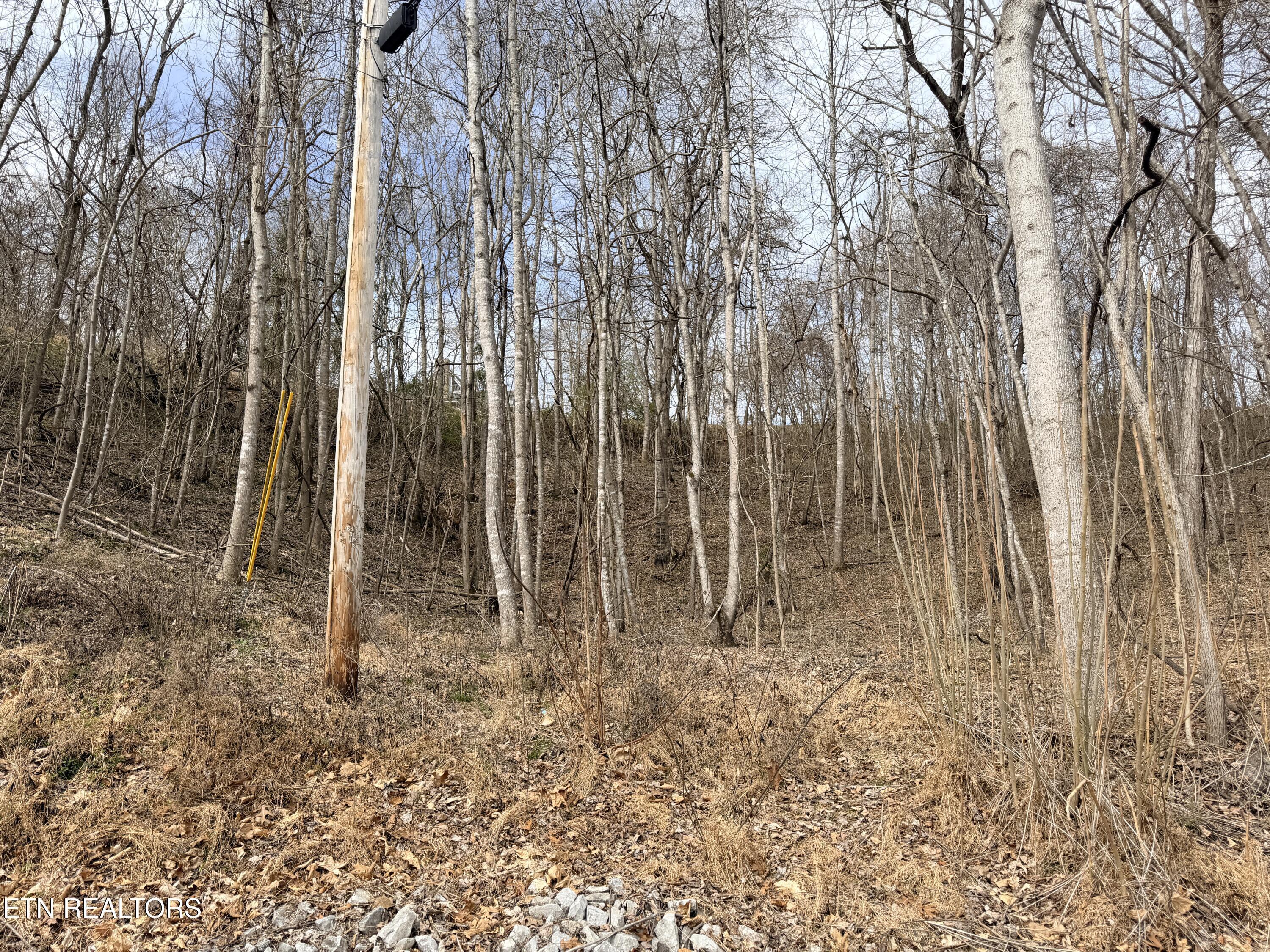 Shanghai Lake Lane, Lafollette, TN - Norris Lake Real Estate - Image# 16