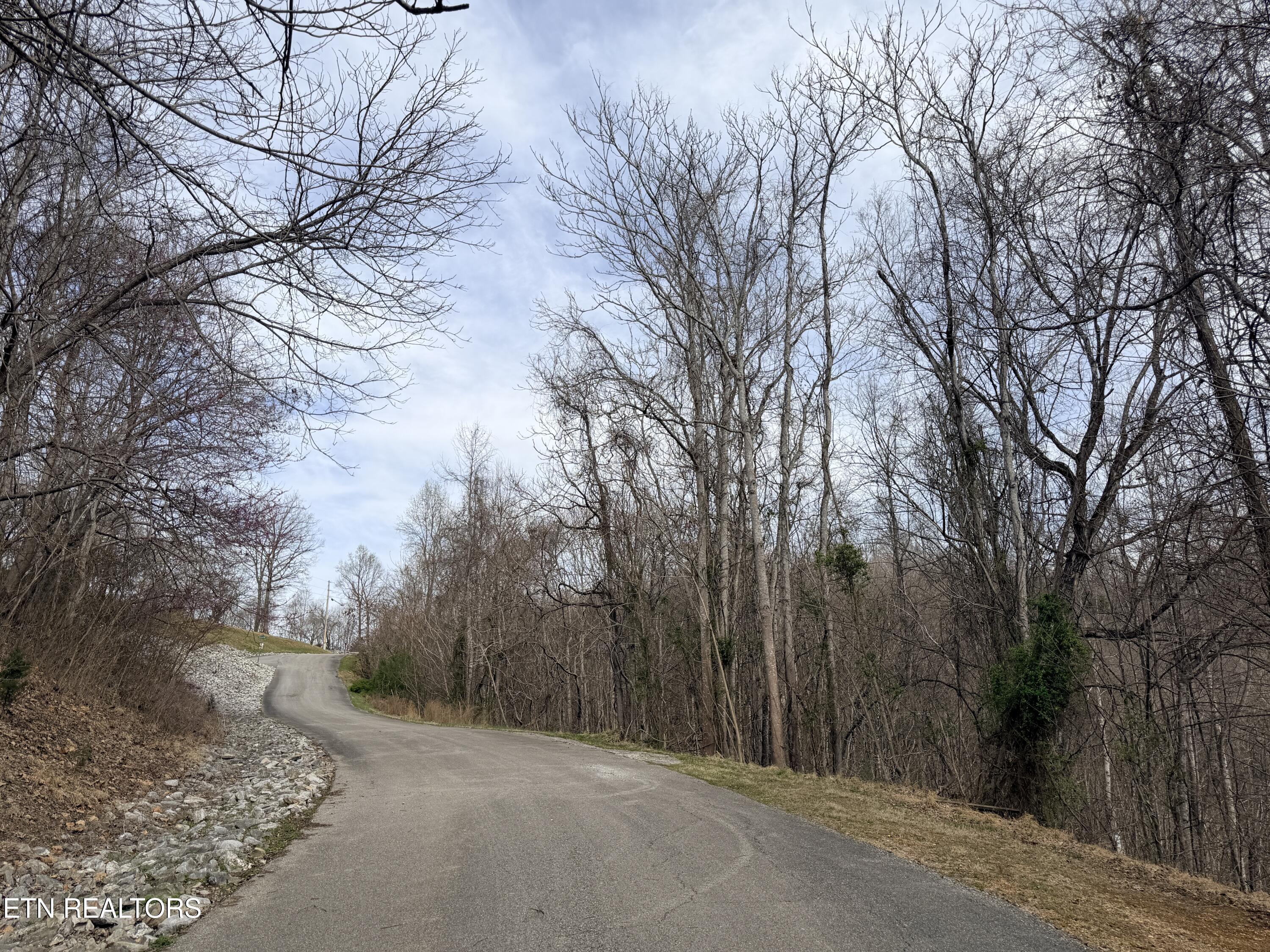 Shanghai Lake Lane, Lafollette, TN - Norris Lake Real Estate - Image# 18