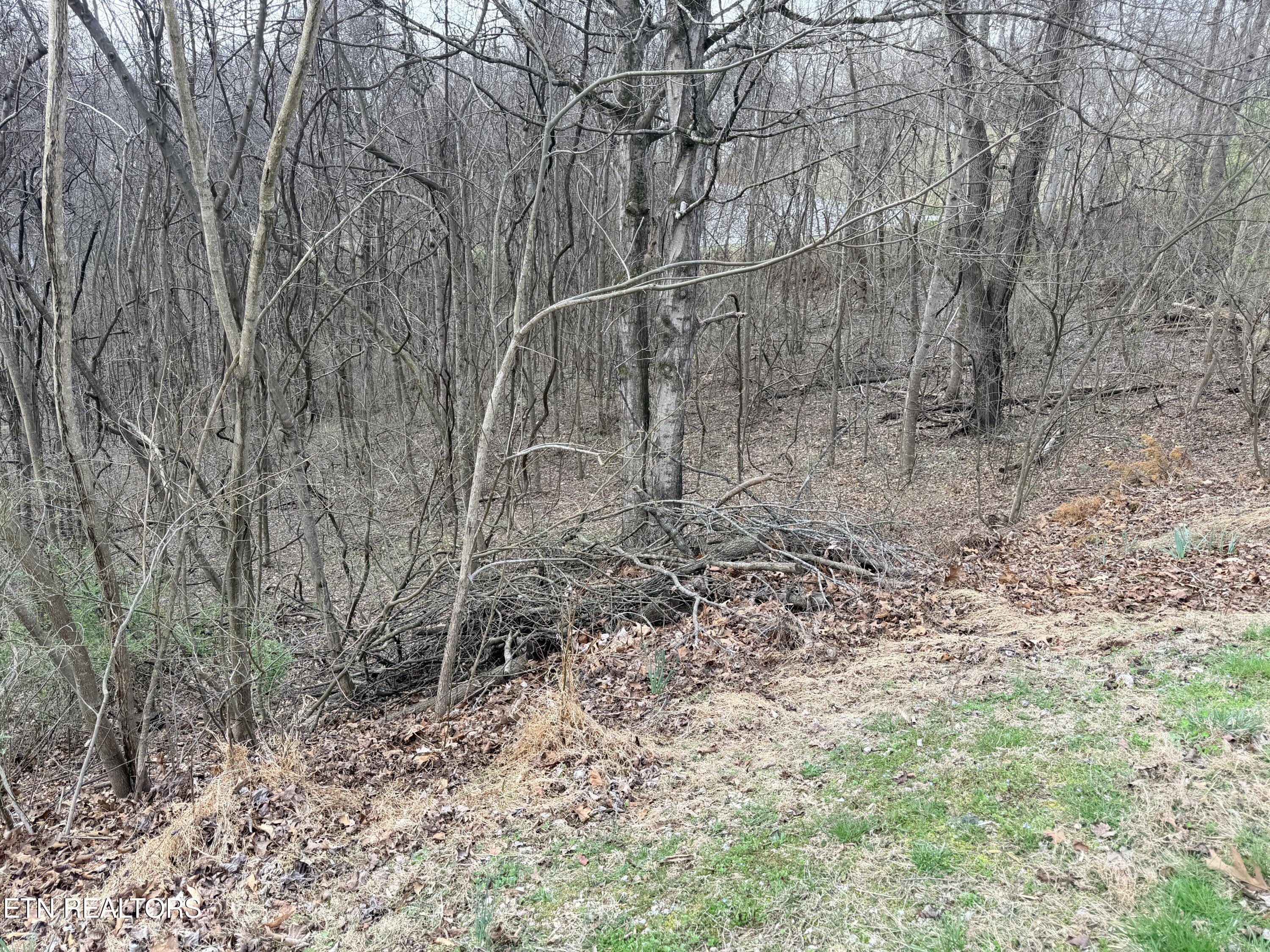 Shanghai Lake Lane, Lafollette, TN - Norris Lake Real Estate - Image# 19