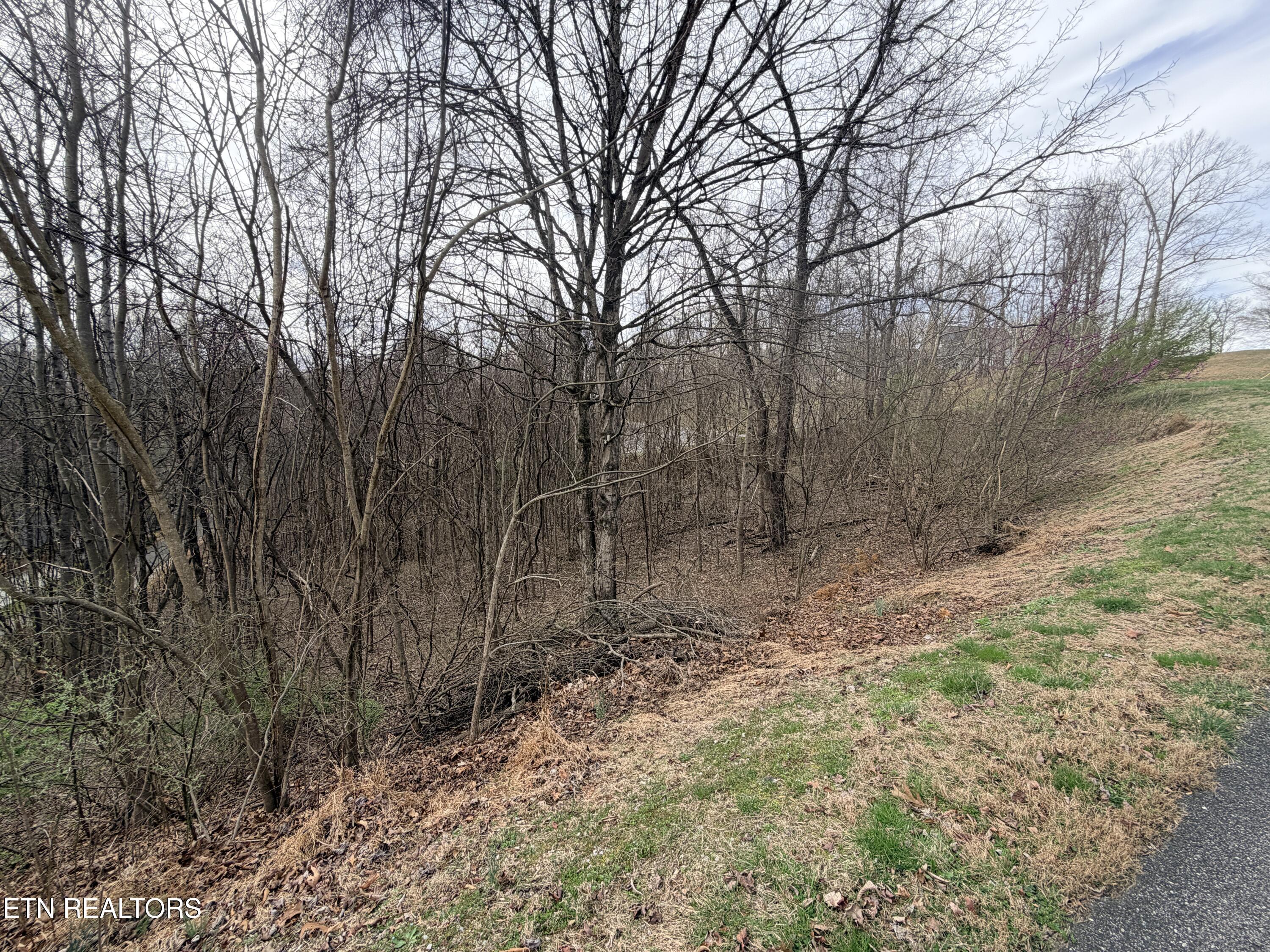 Shanghai Lake Lane, Lafollette, TN - Norris Lake Real Estate - Image# 20
