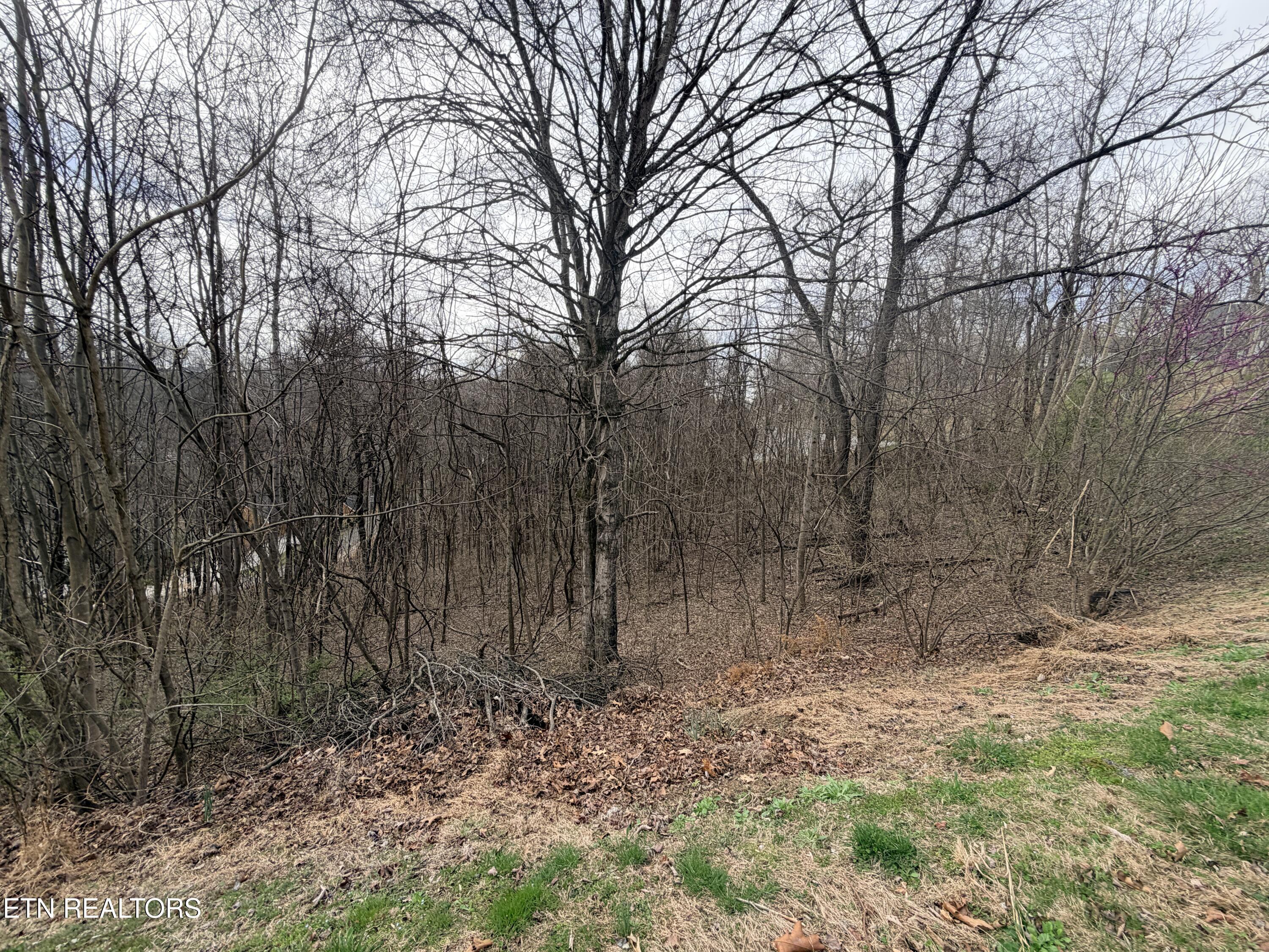 Shanghai Lake Lane, Lafollette, TN - Norris Lake Real Estate - Image# 21