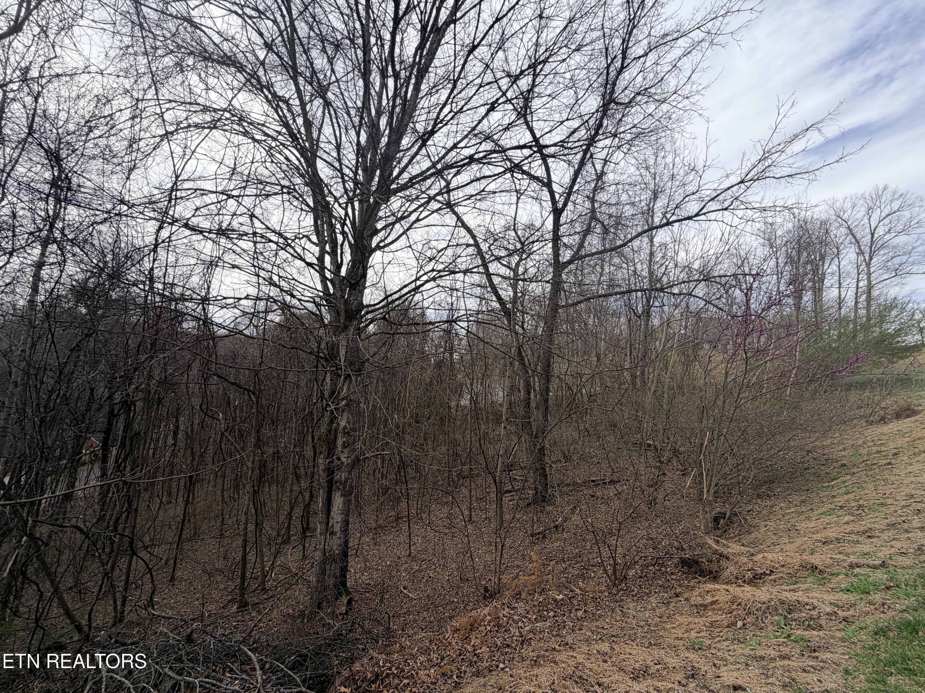Shanghai Lake Lane, Lafollette, TN - Norris Lake Real Estate - Image# 22