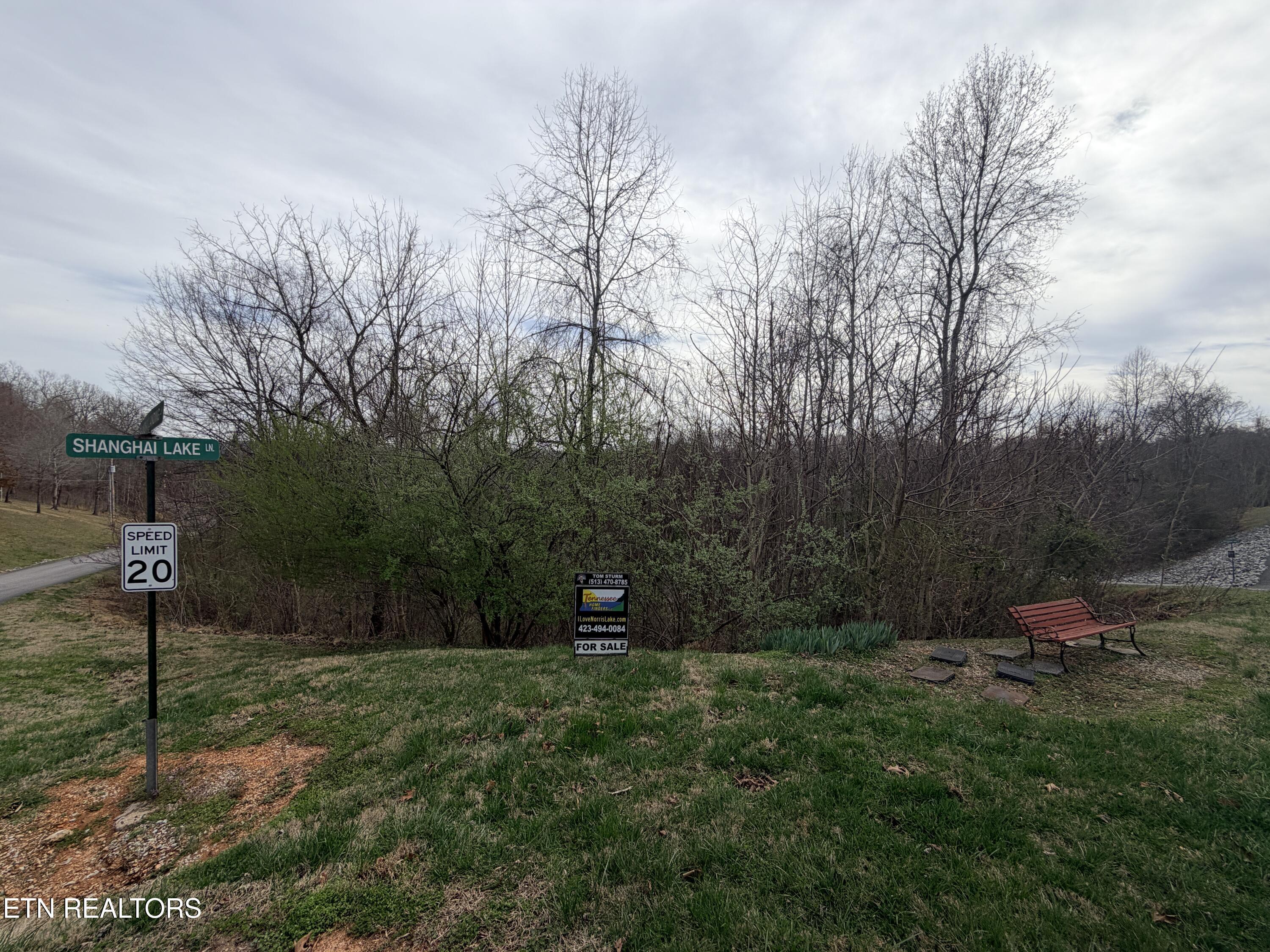 Shanghai Lake Lane, Lafollette, TN - Norris Lake Real Estate - Image# 23