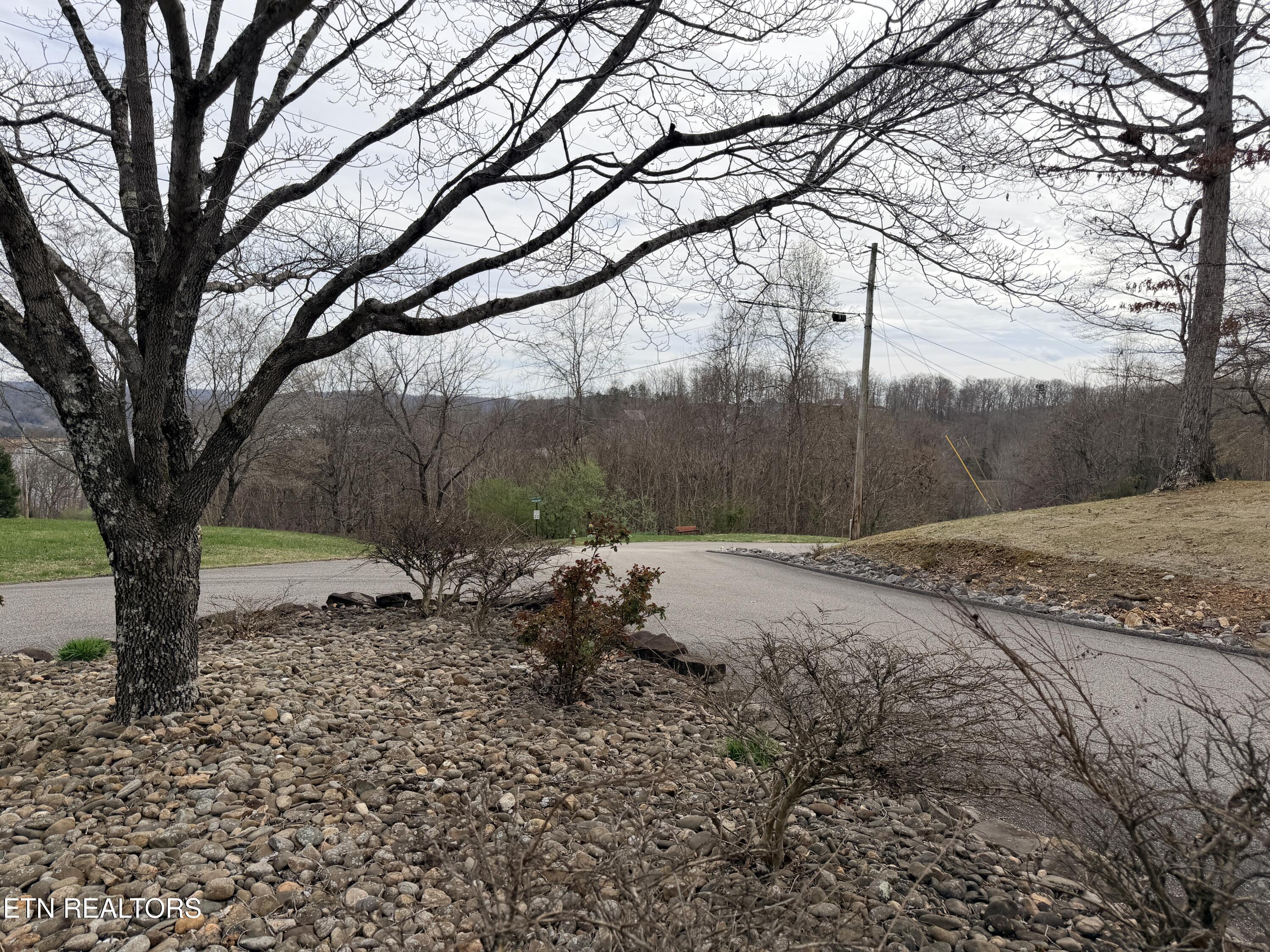 Shanghai Lake Lane, Lafollette, TN - Norris Lake Real Estate - Image# 24