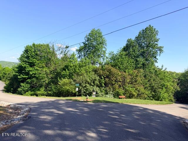 Shanghai Lake Lane, Lafollette, TN - Norris Lake Real Estate - Image# 2