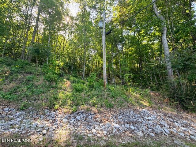 Shanghai Lake Lane, Lafollette, TN - Norris Lake Real Estate - Image# 4