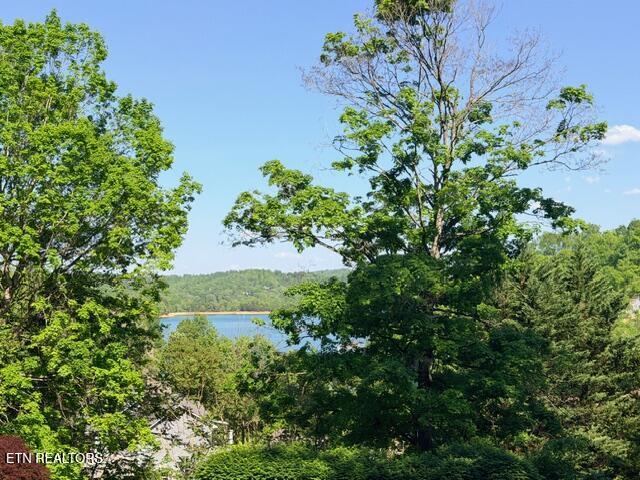 Shanghai Lake Lane, Lafollette, TN - Norris Lake Real Estate - Image# 1