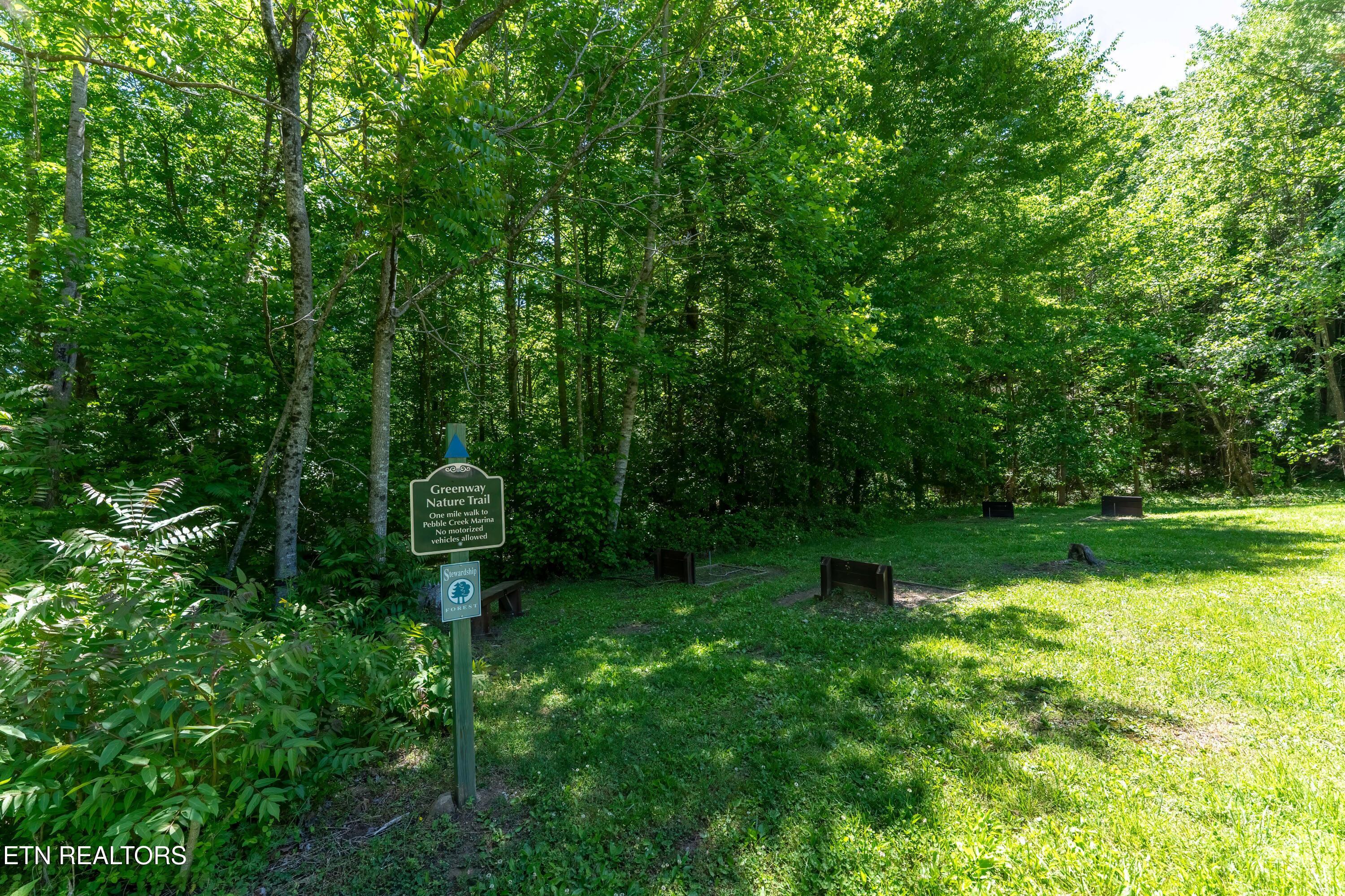 1738 Mountain Shores Rd, New Tazewell, TN - Norris Lake Real Estate - Image# 36